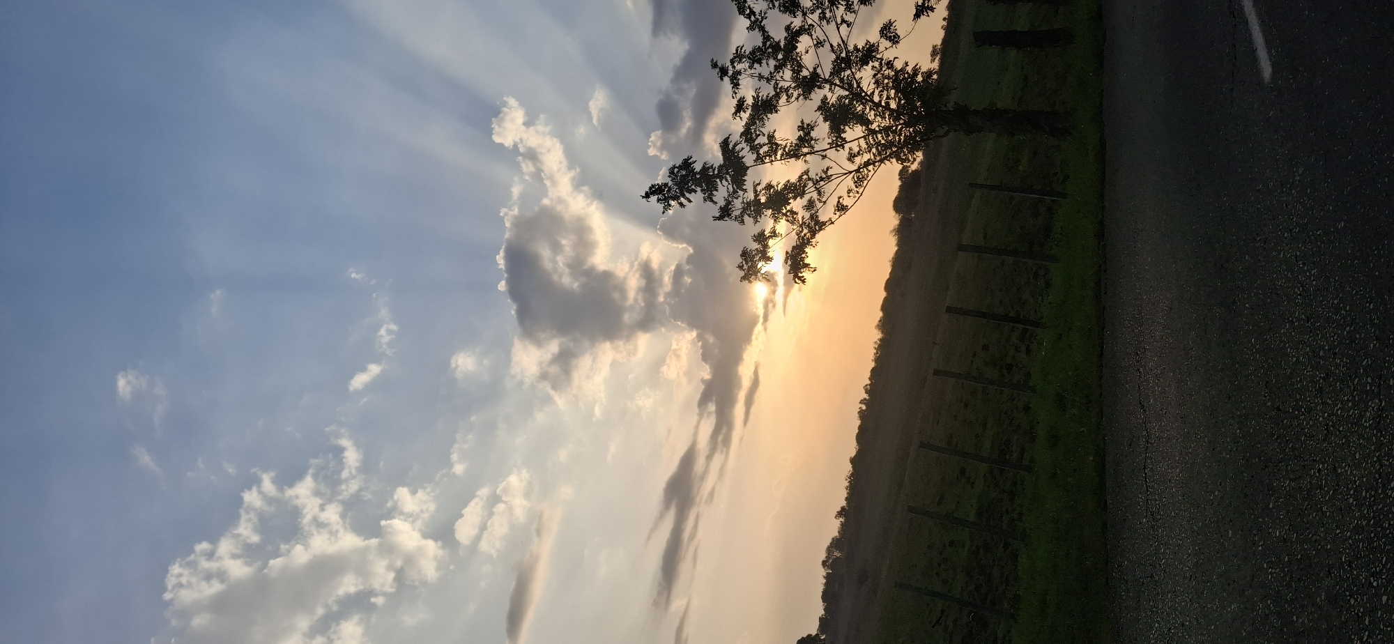 Sunset observed through clouds and trees near Vallecito, Venezuela