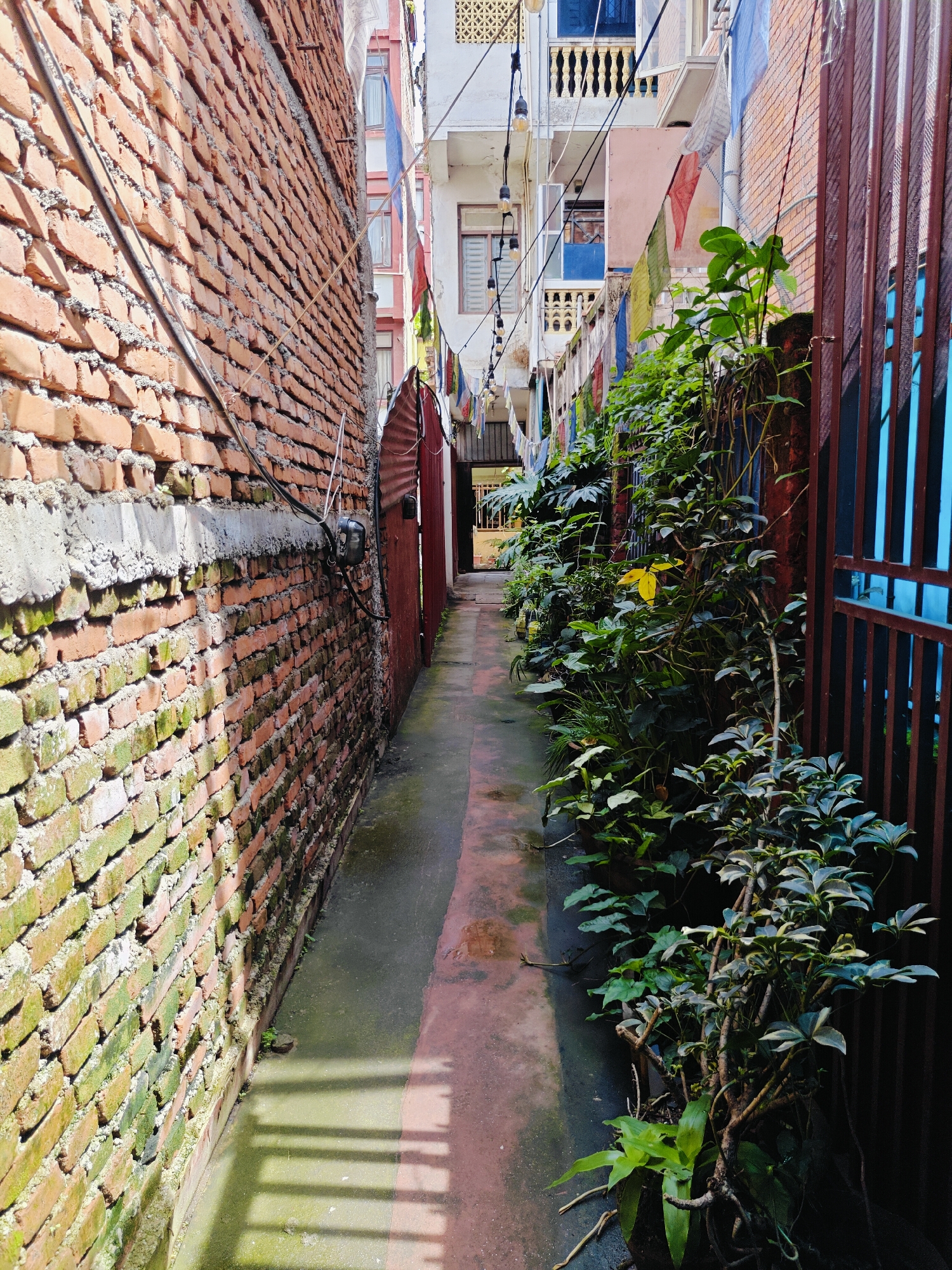 Kathmandu alleyways, a local cafe, and food up close