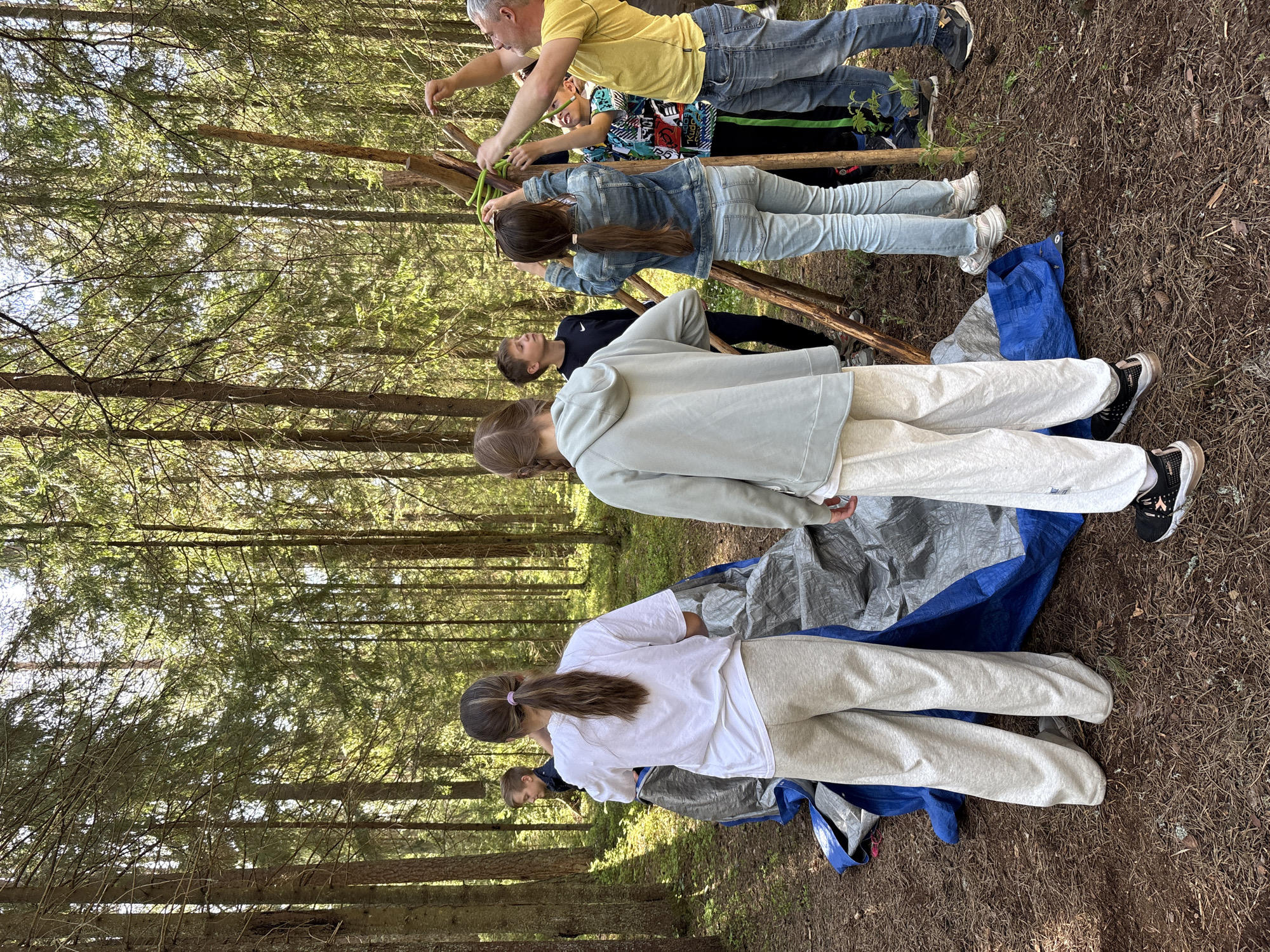 Forest adventure park activity documented in Russia