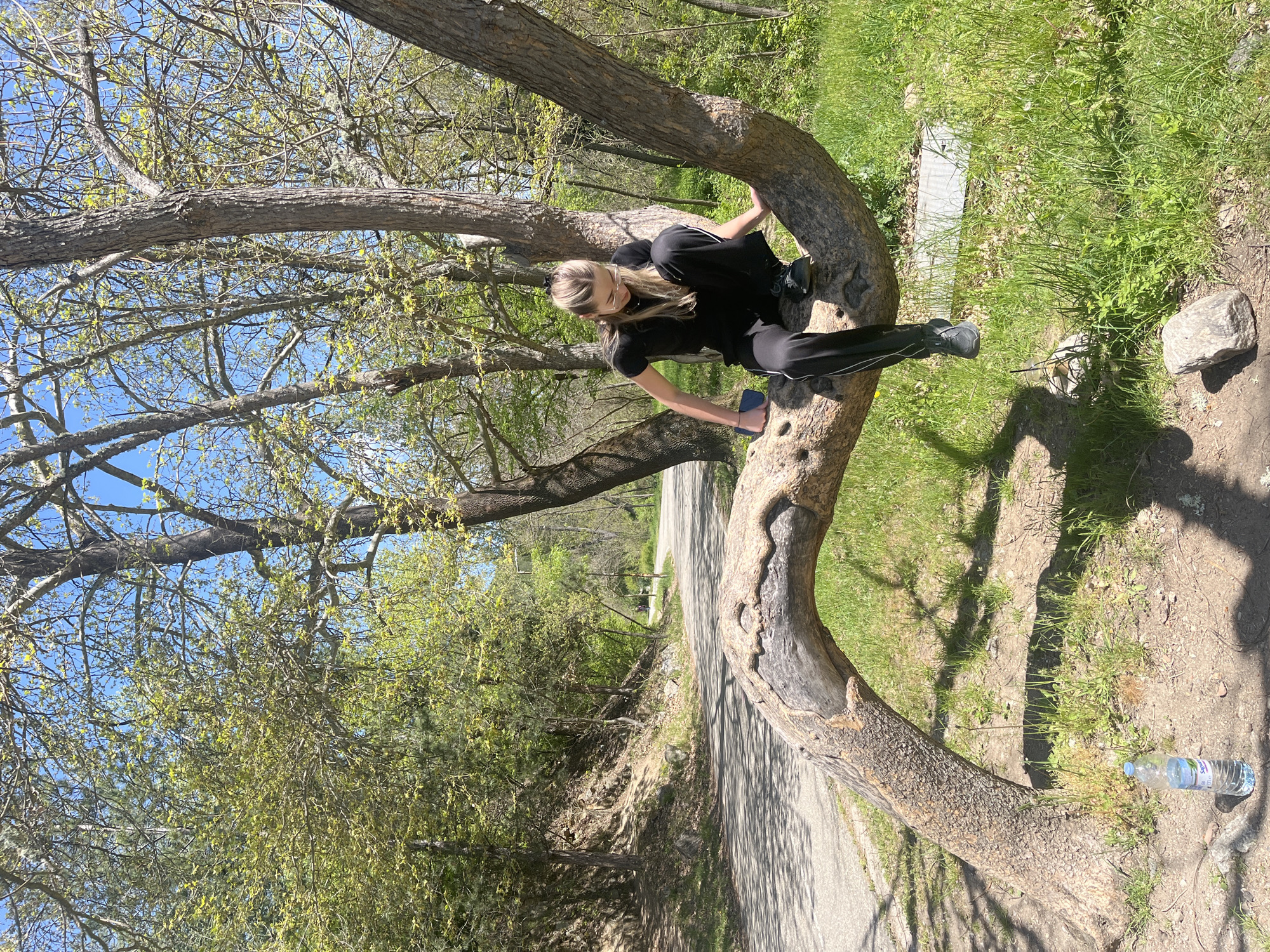 Woman rests on curved tree trunk in Bulgarian park