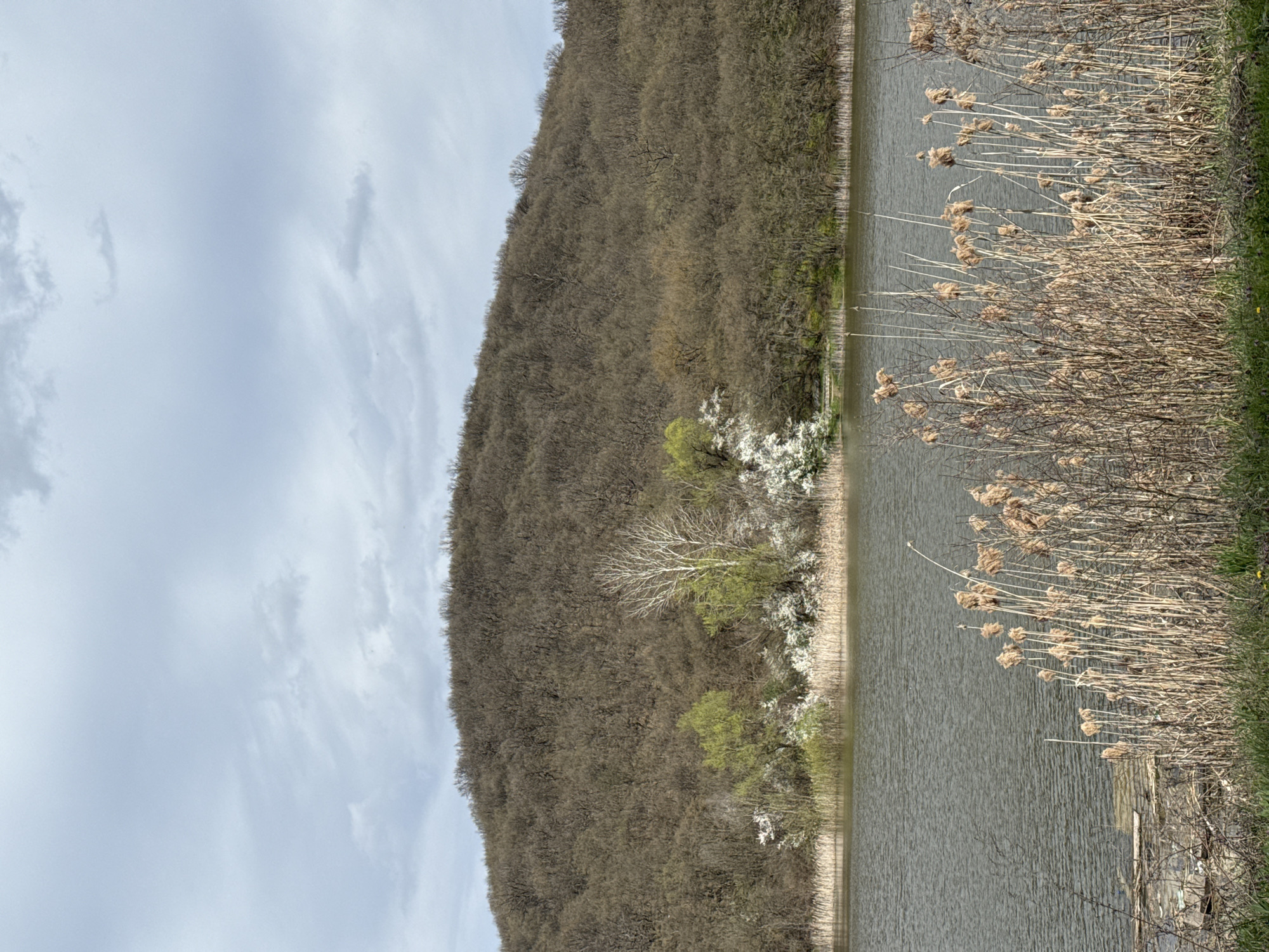 Lakeside documentation captured near Razgrad, Bulgaria