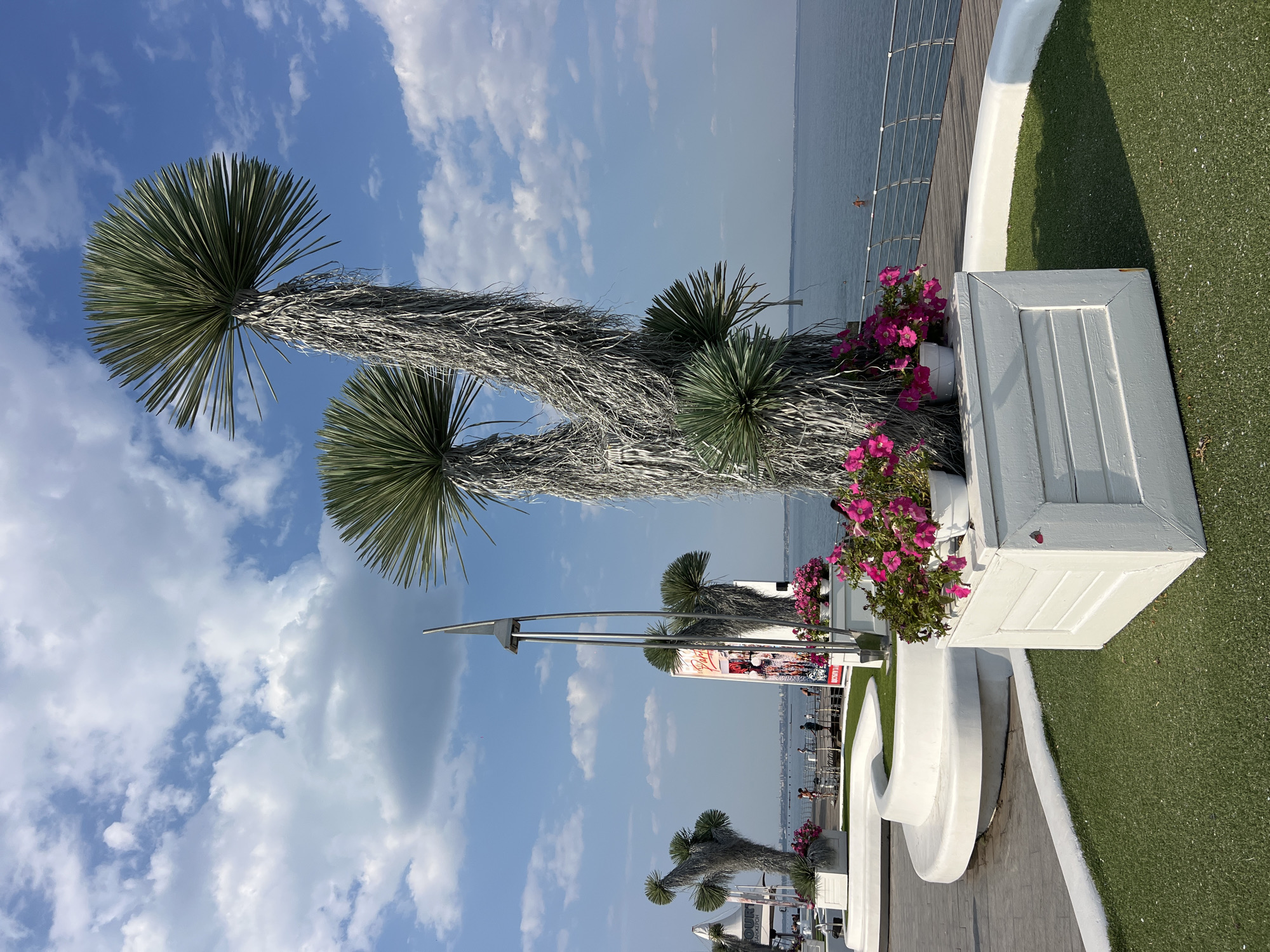 Odesa's Black Sea waterfront on a clear summer afternoon