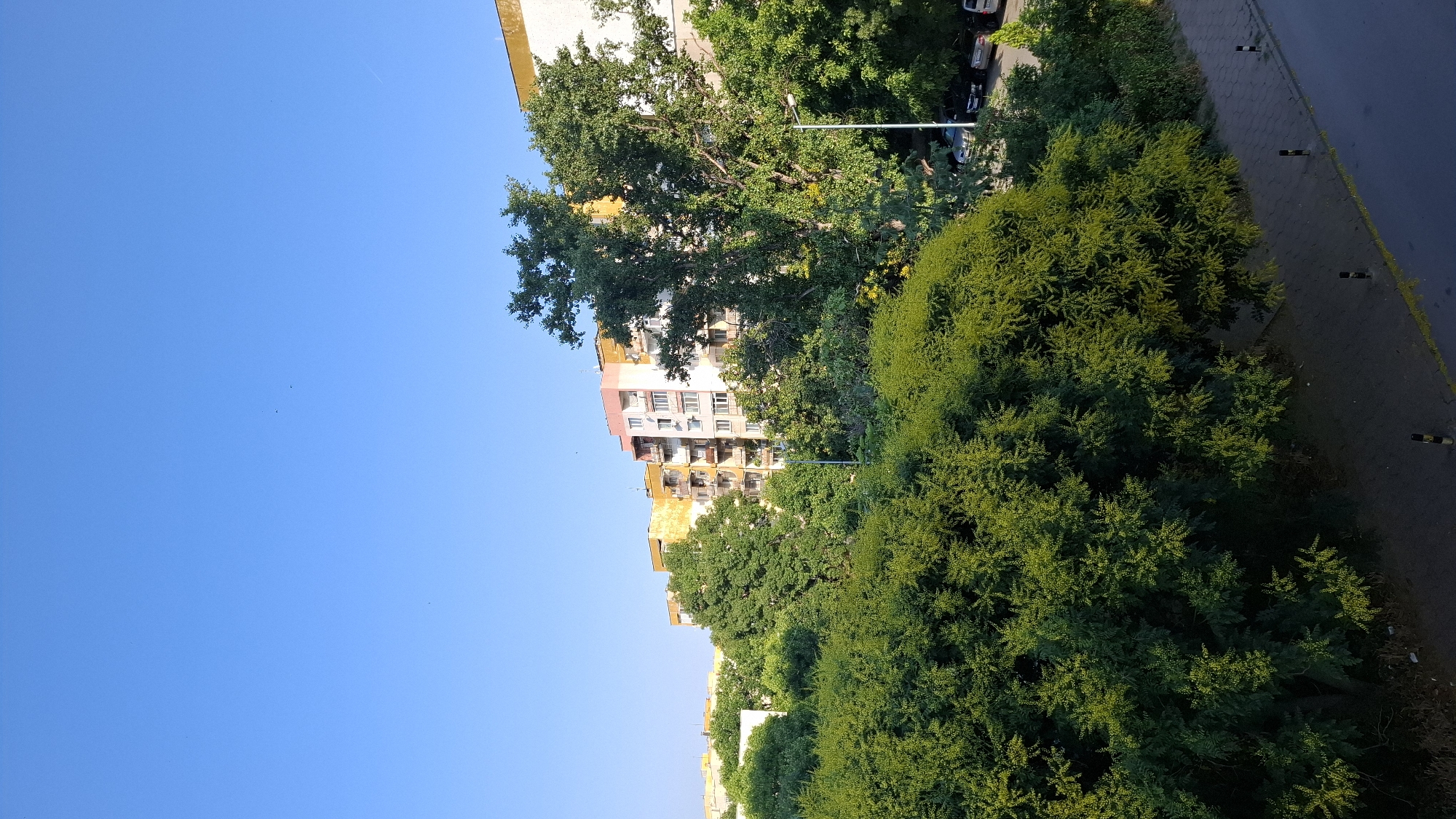 Quiet residential streets and summer greenery in Plovdiv