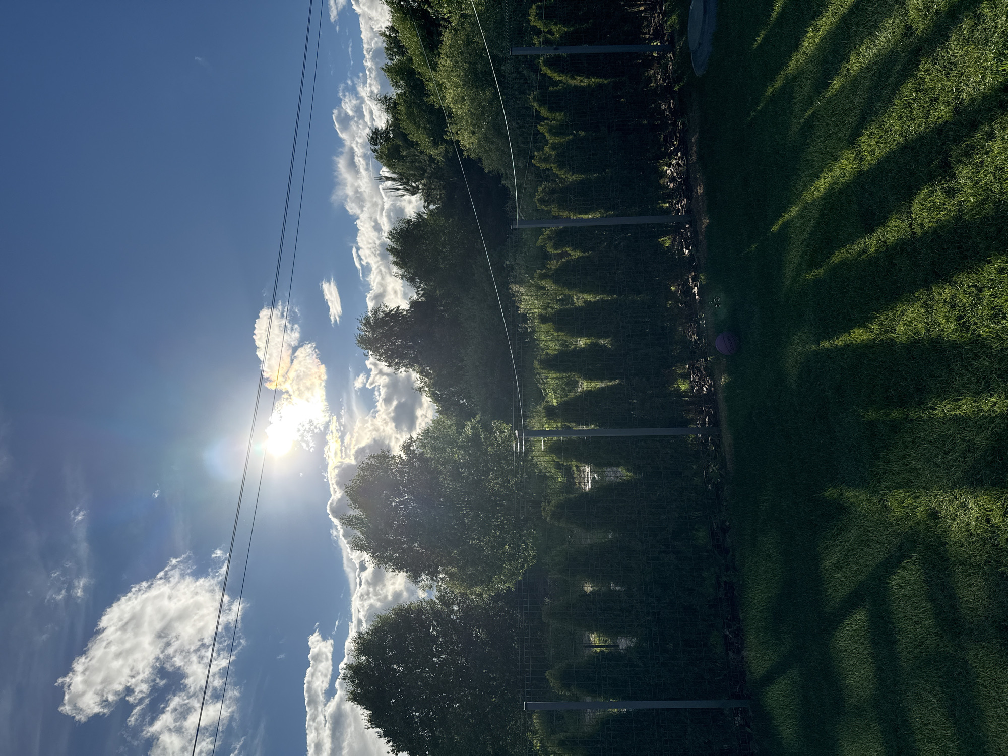 Backyard afternoon in Zhostovo, clouds and a passing plane