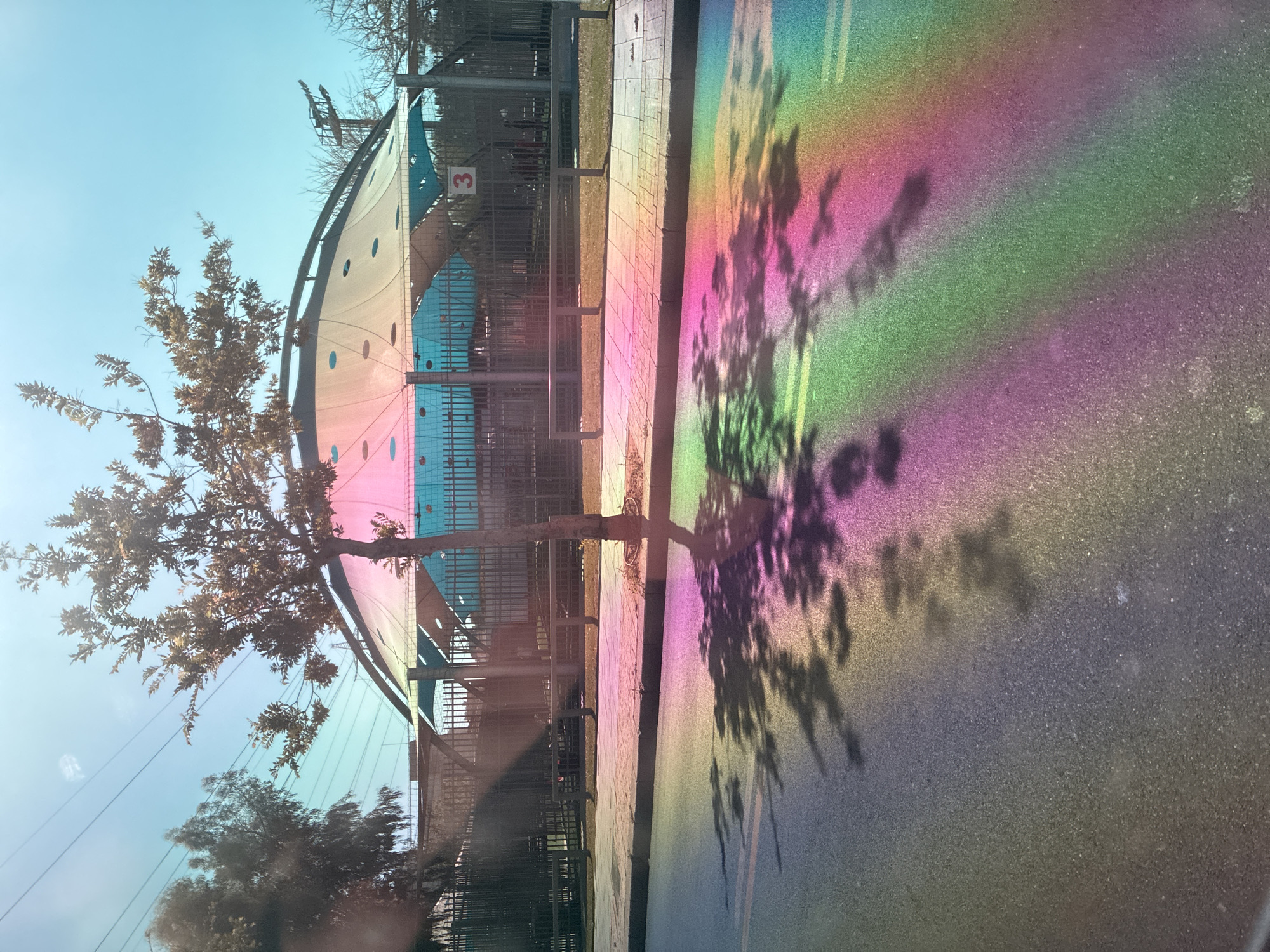 Rainbow light and dessert moments captured in Tel-Aviv