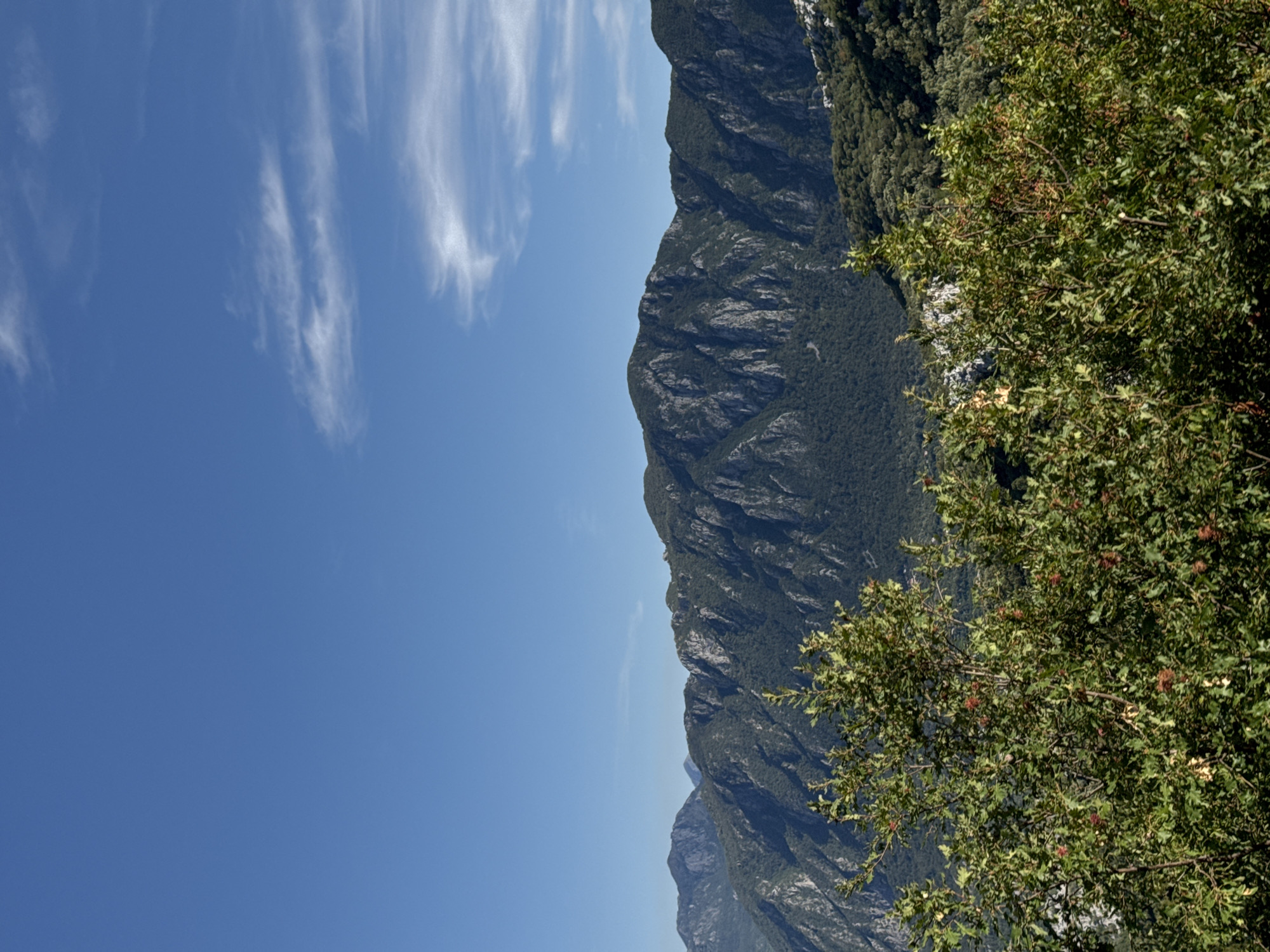 Lush mountain terrain in Gluhi Do, Montenegro, on a clear day