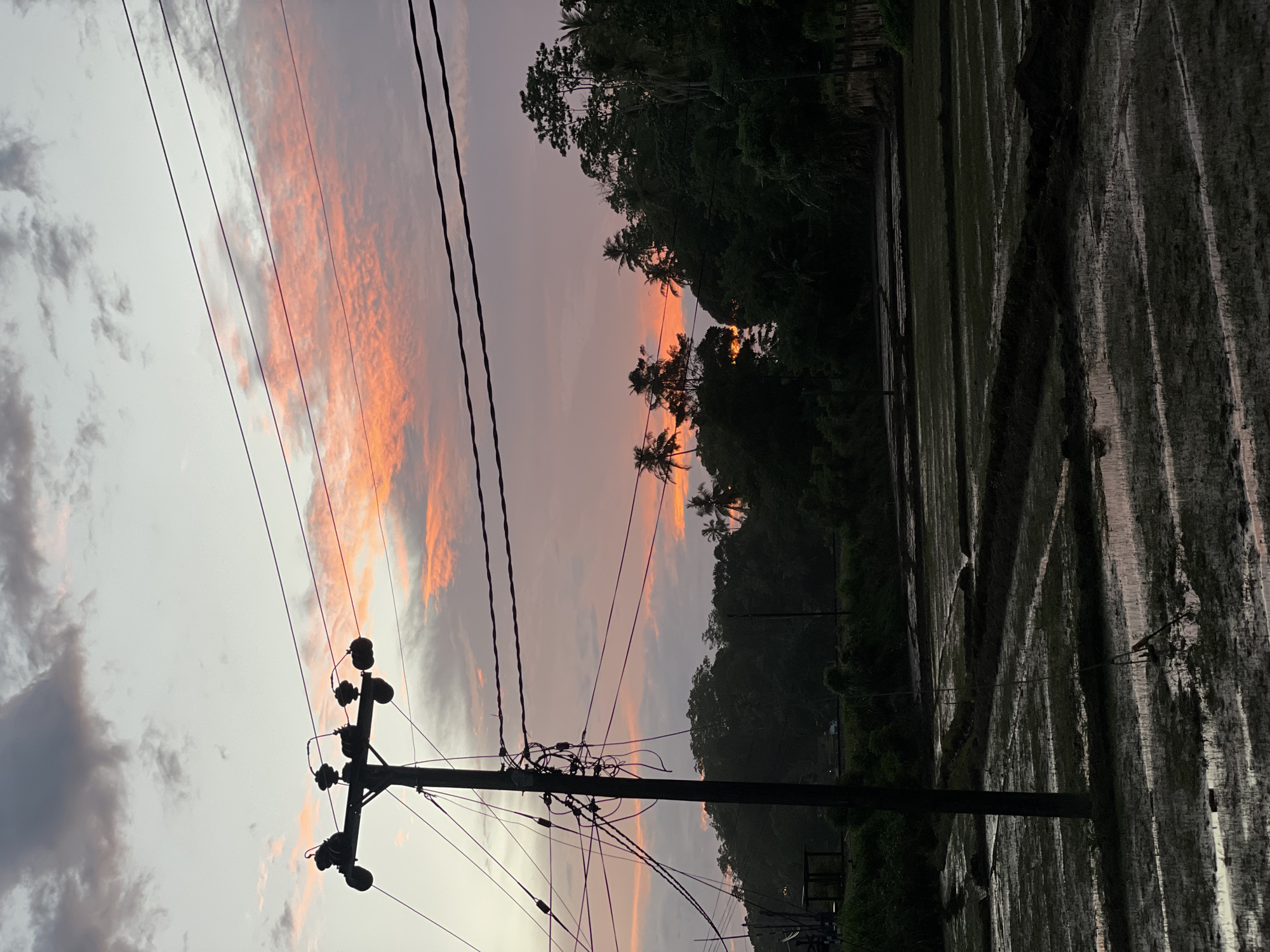 Sunset street life documented in rural Sri Lankan village
