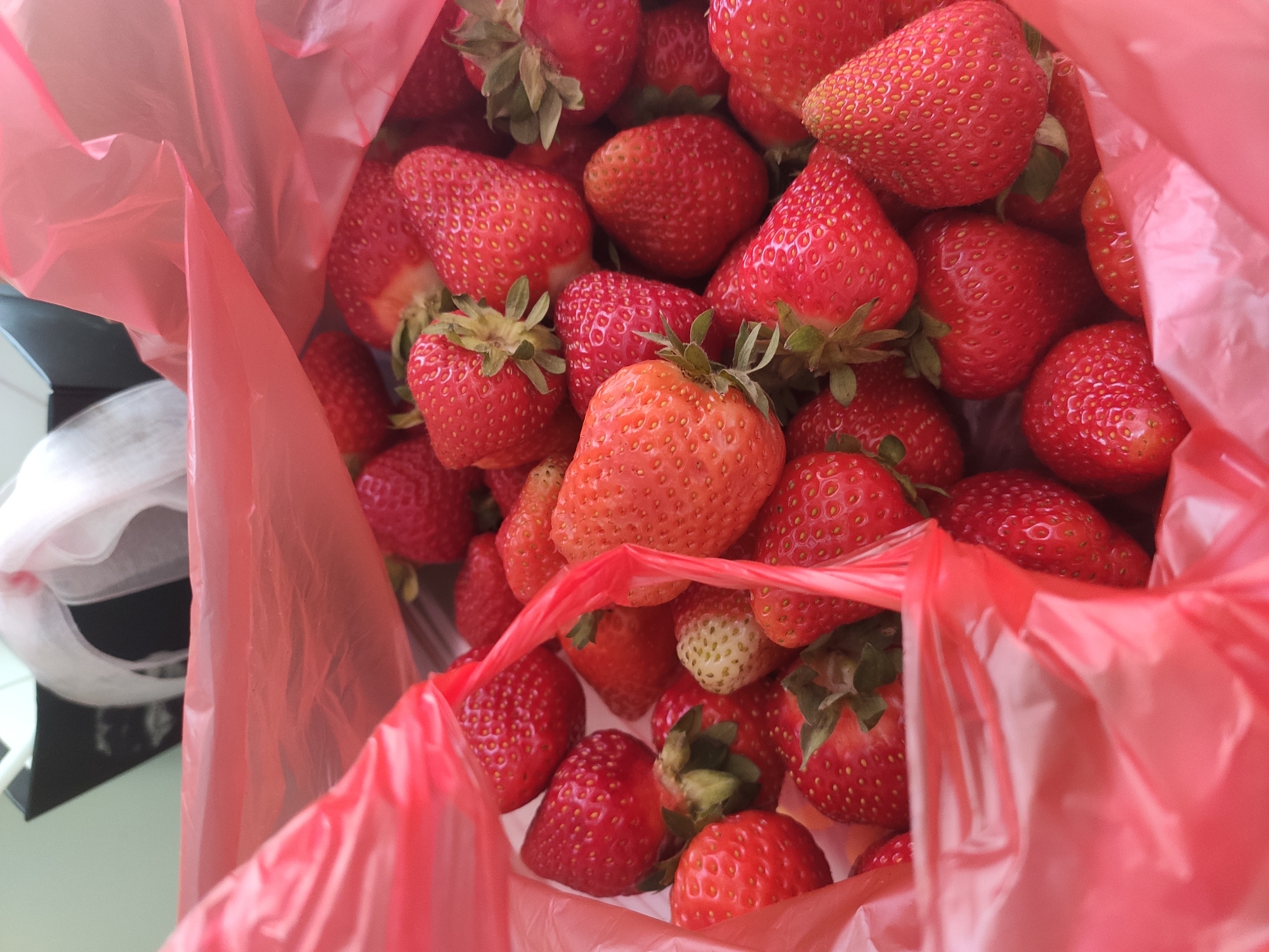 Morning nail care session with fresh strawberries in Belarus