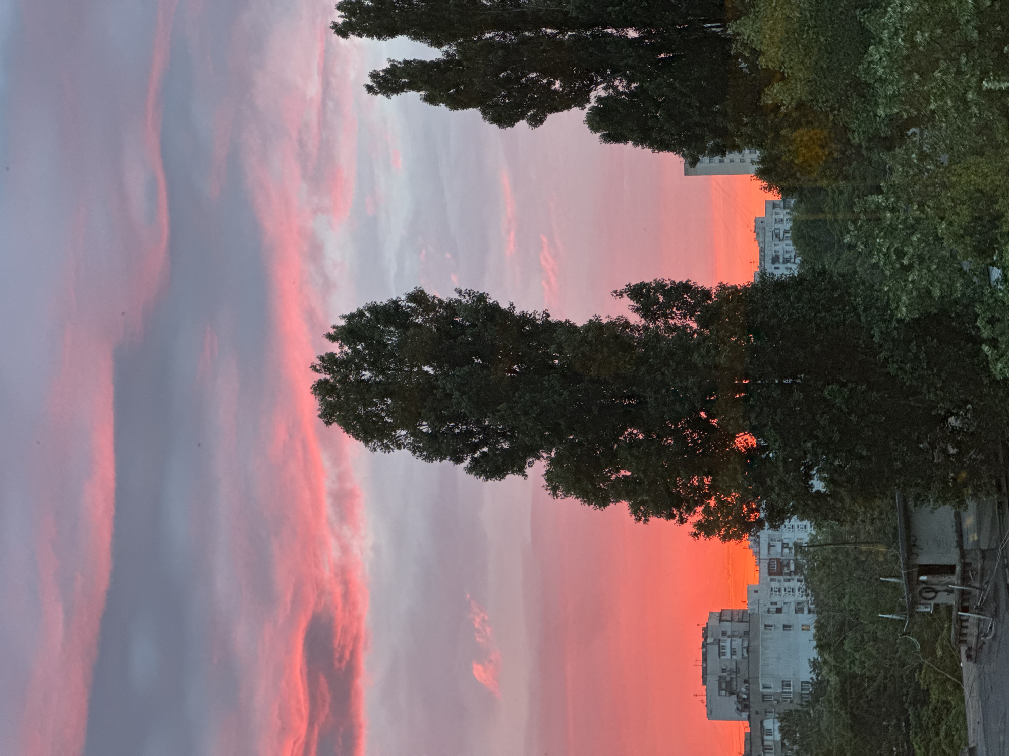 Striking city sunset from multiple angles, plus a cat indoors