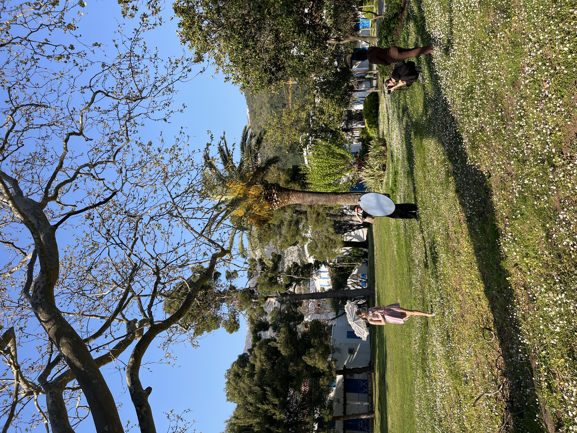 Spring afternoon moments captured in Budva: bees, daisies, chess