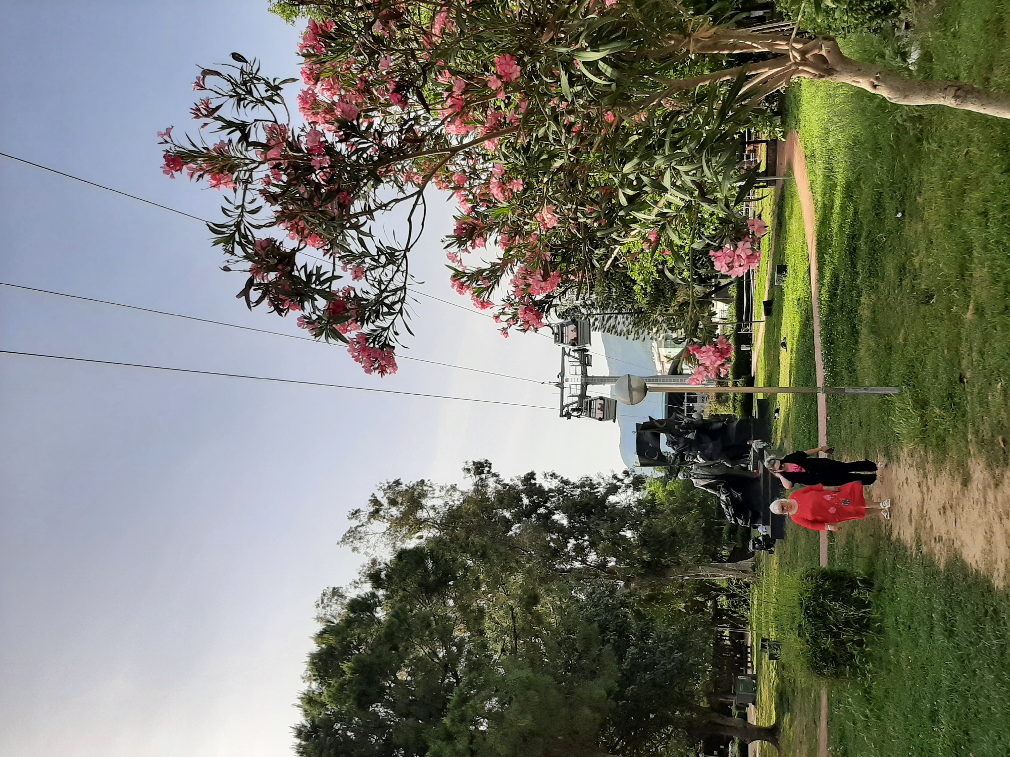 Afternoon scenes captured at Alanya park and castle area