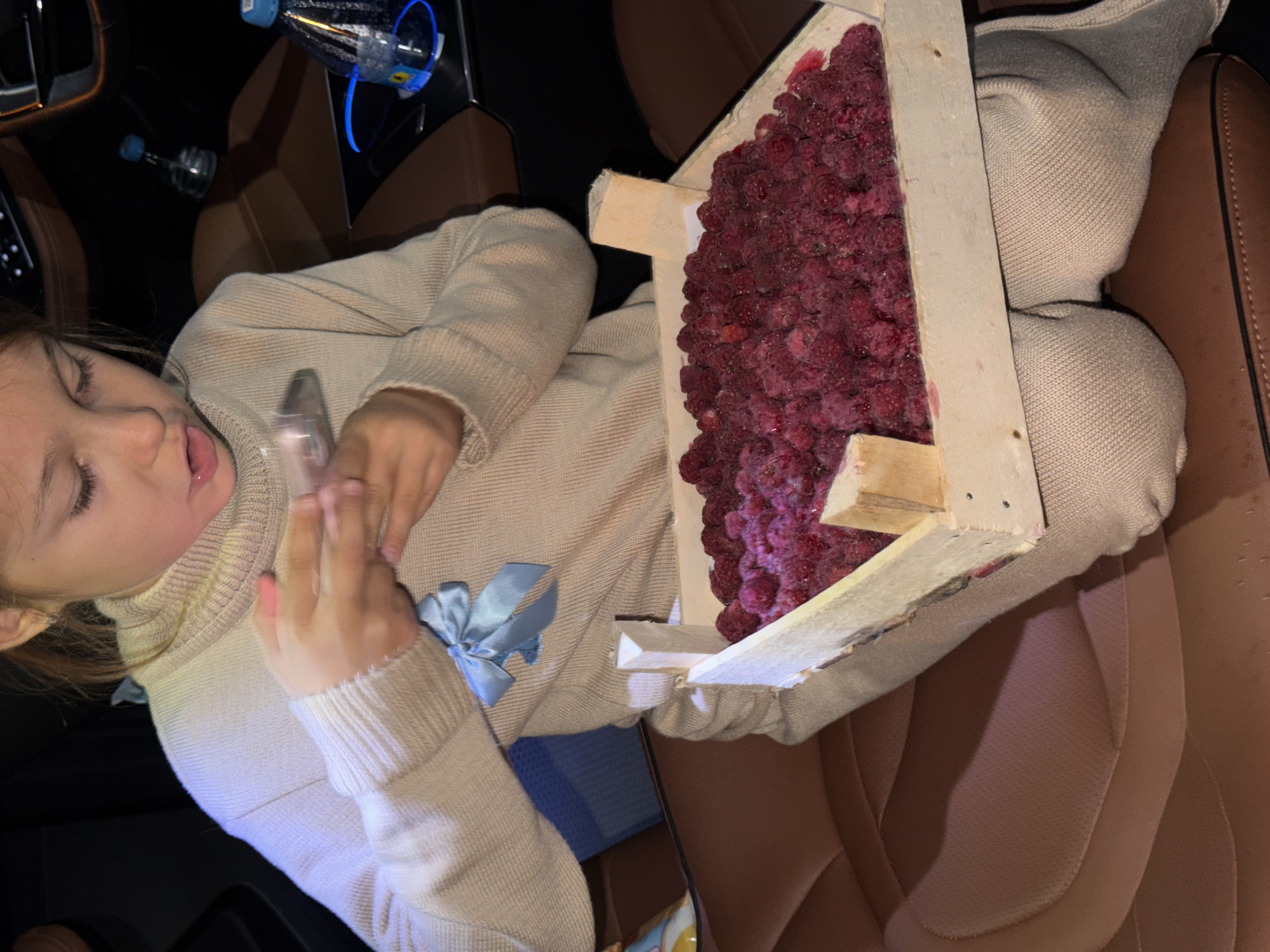 Checking contents of a clear container in a car, Krasnoyarsk