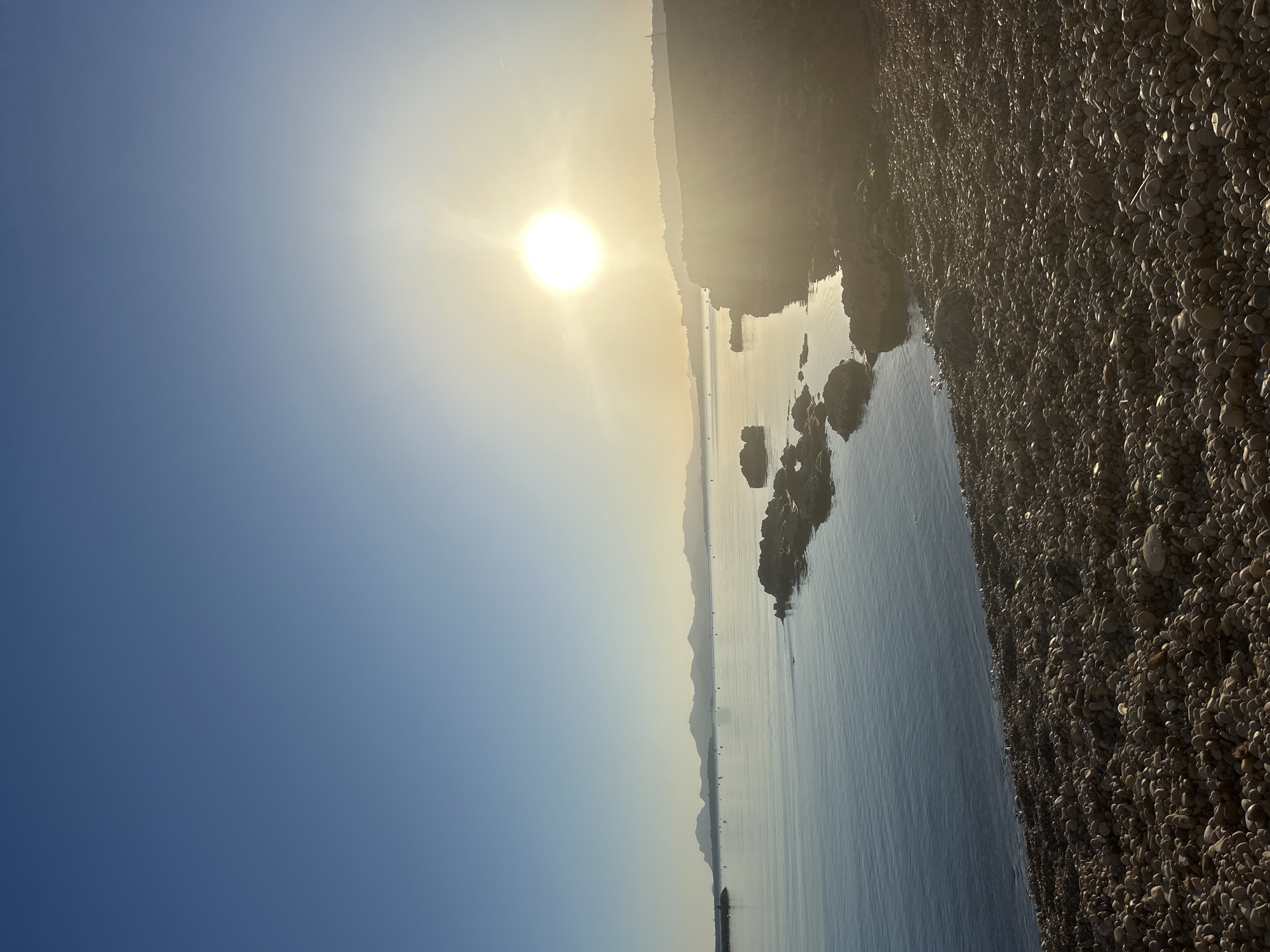 Woman takes selfies with Pomeranian on sunny Antibes beach