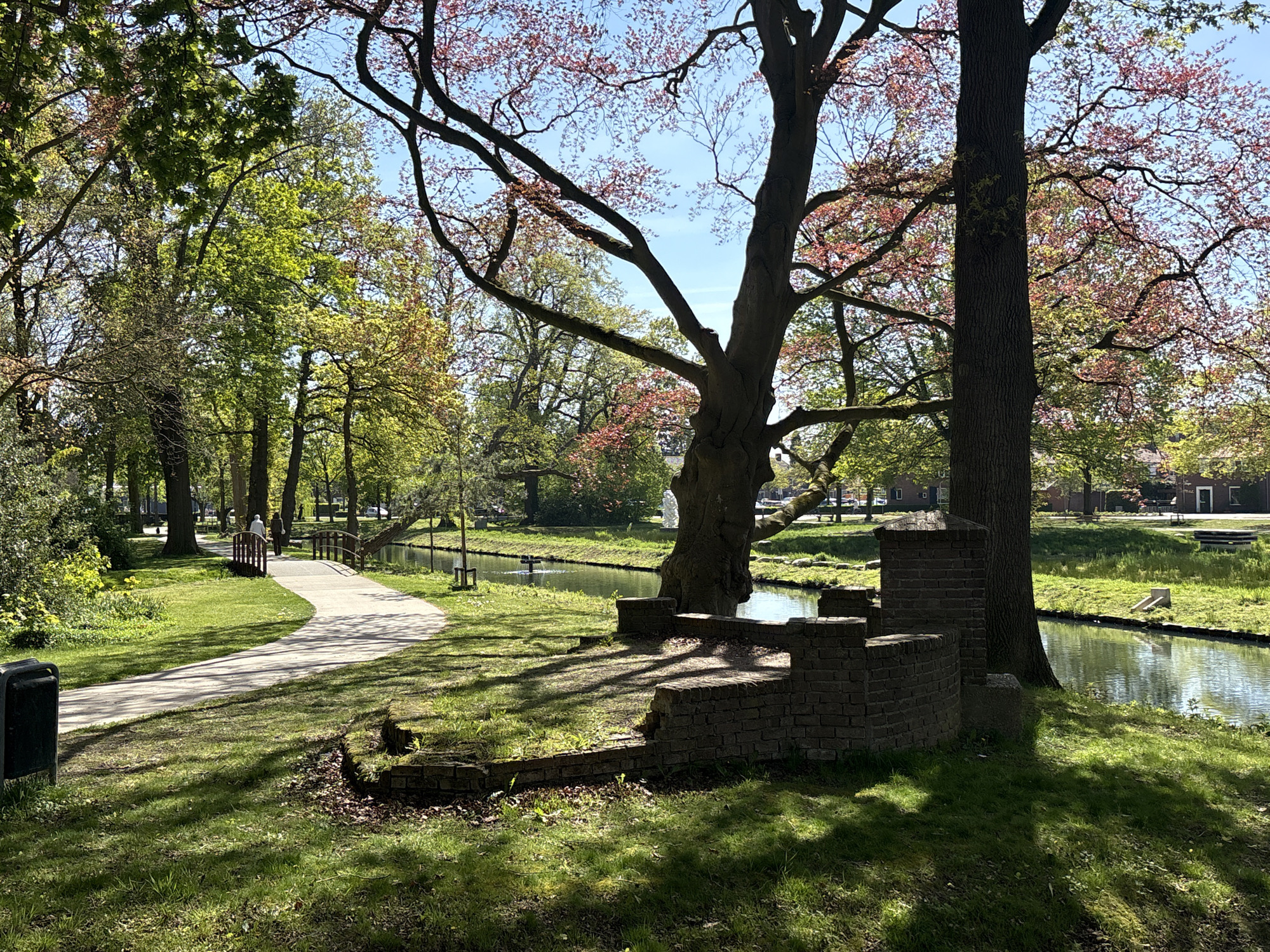 Sunny spring park scene captured with dappled light