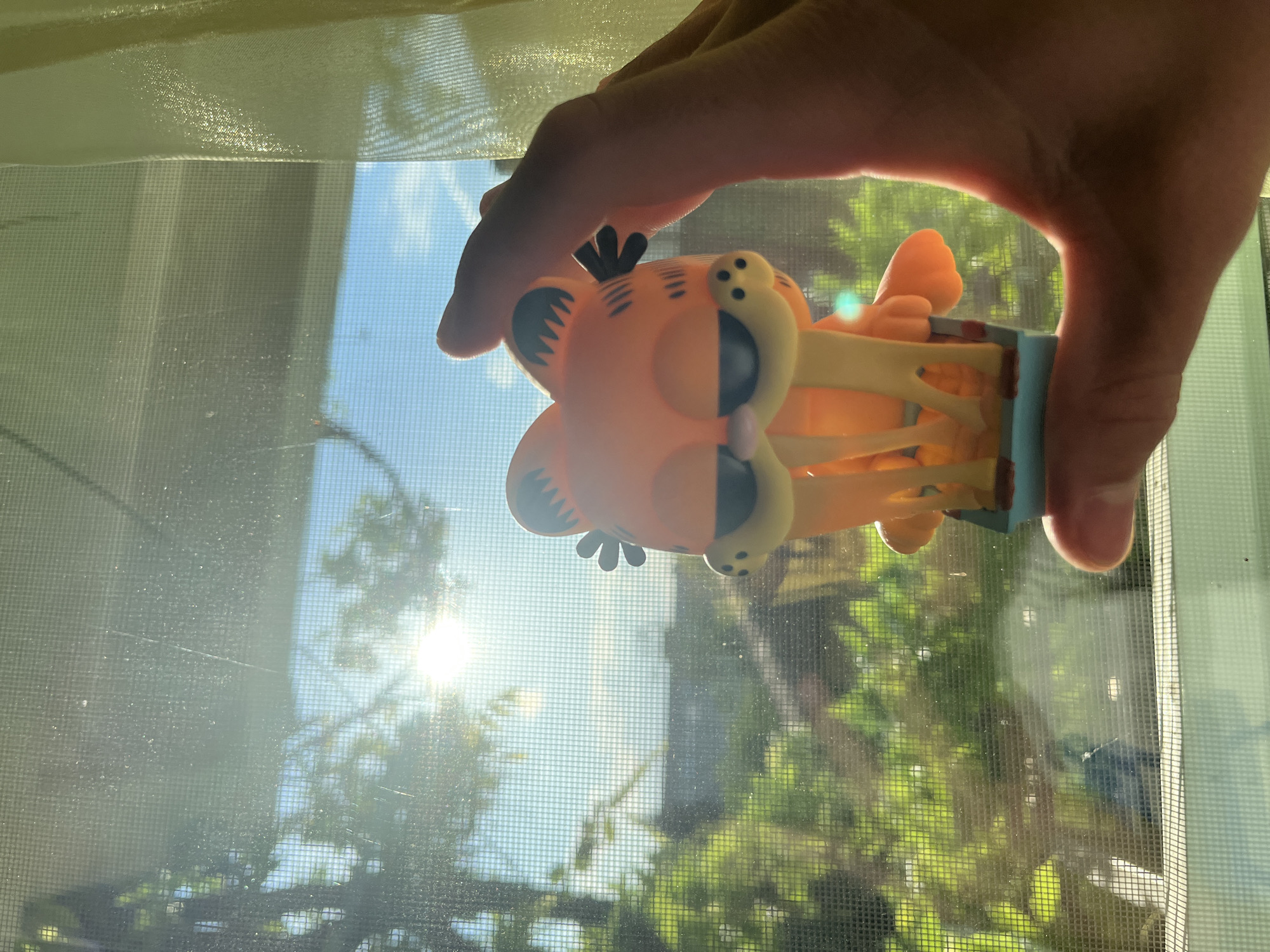 Sofia collector documents personal figurines and memorabilia collection