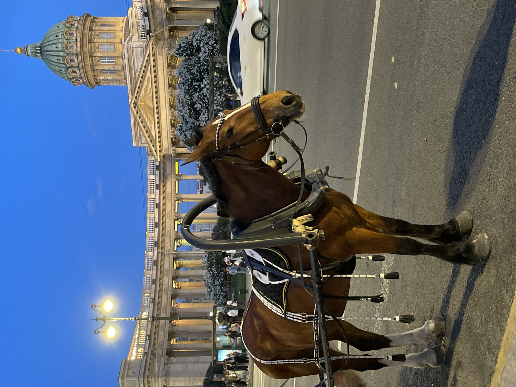 Evening horse carriages captured near Kazan Cathedral, Saint Petersburg