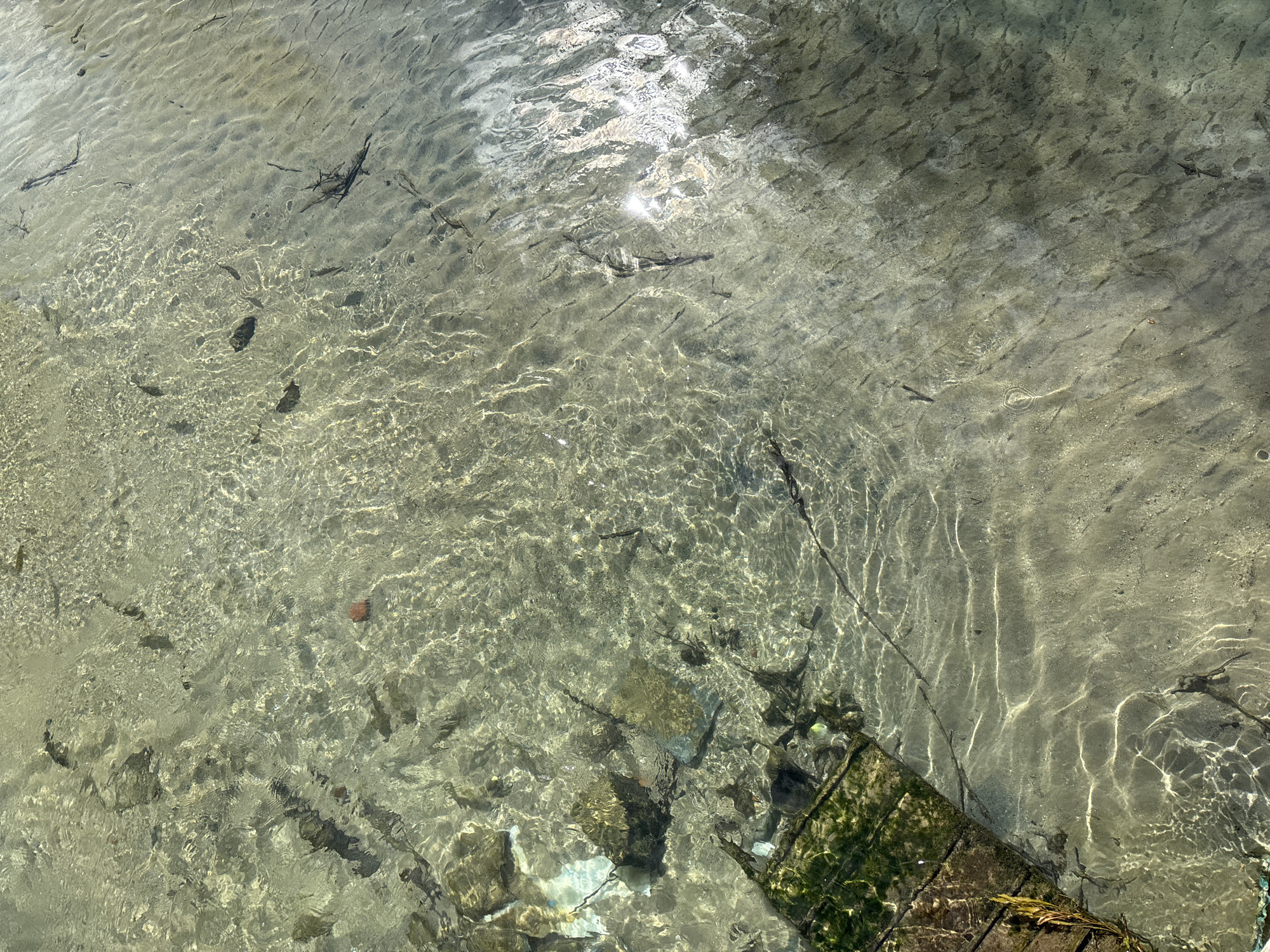 Clear shallow waters observed with wooden dock in northern Greece