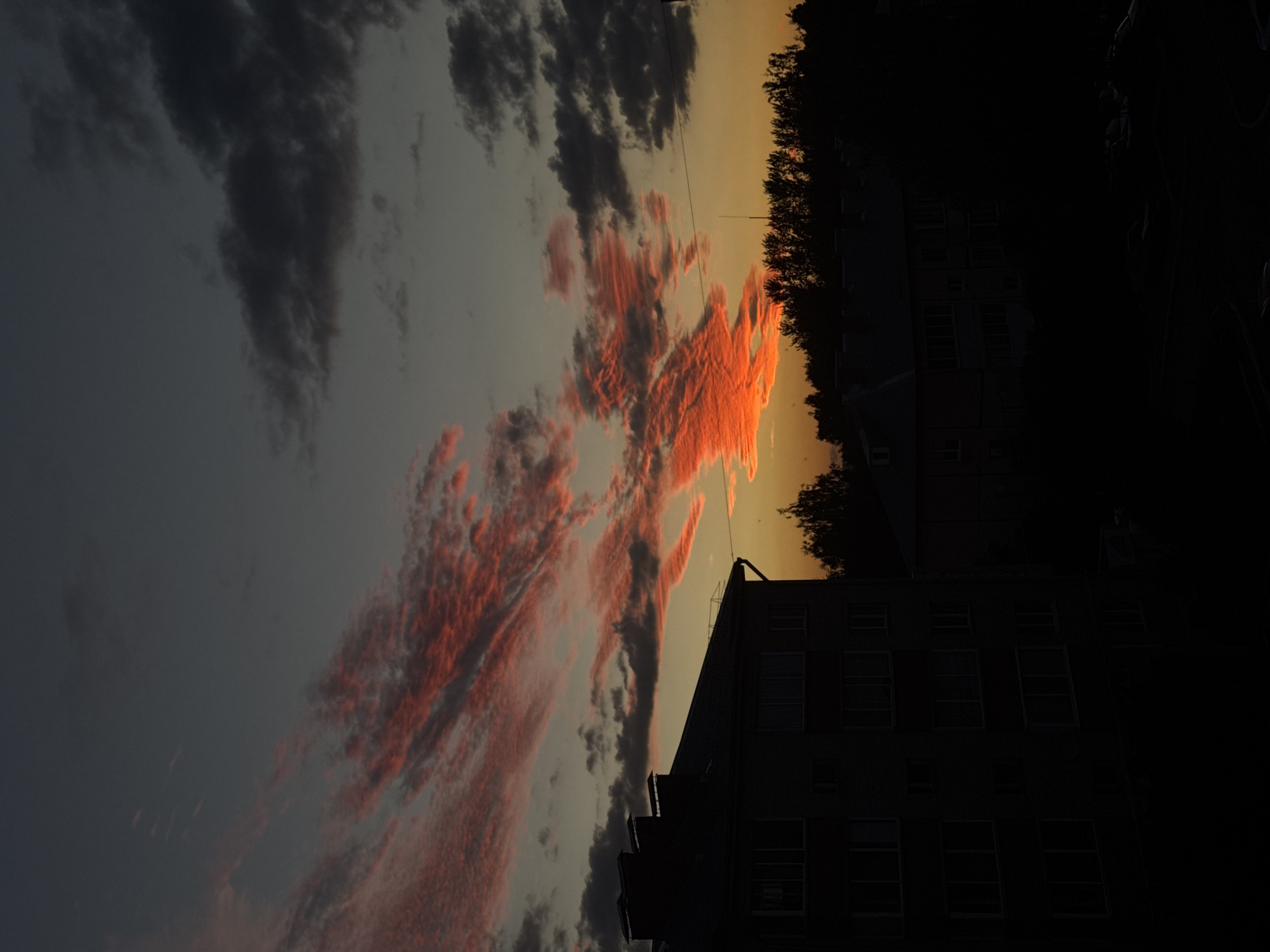 Fiery summer sunset lights up the sky over Zav'yalovo