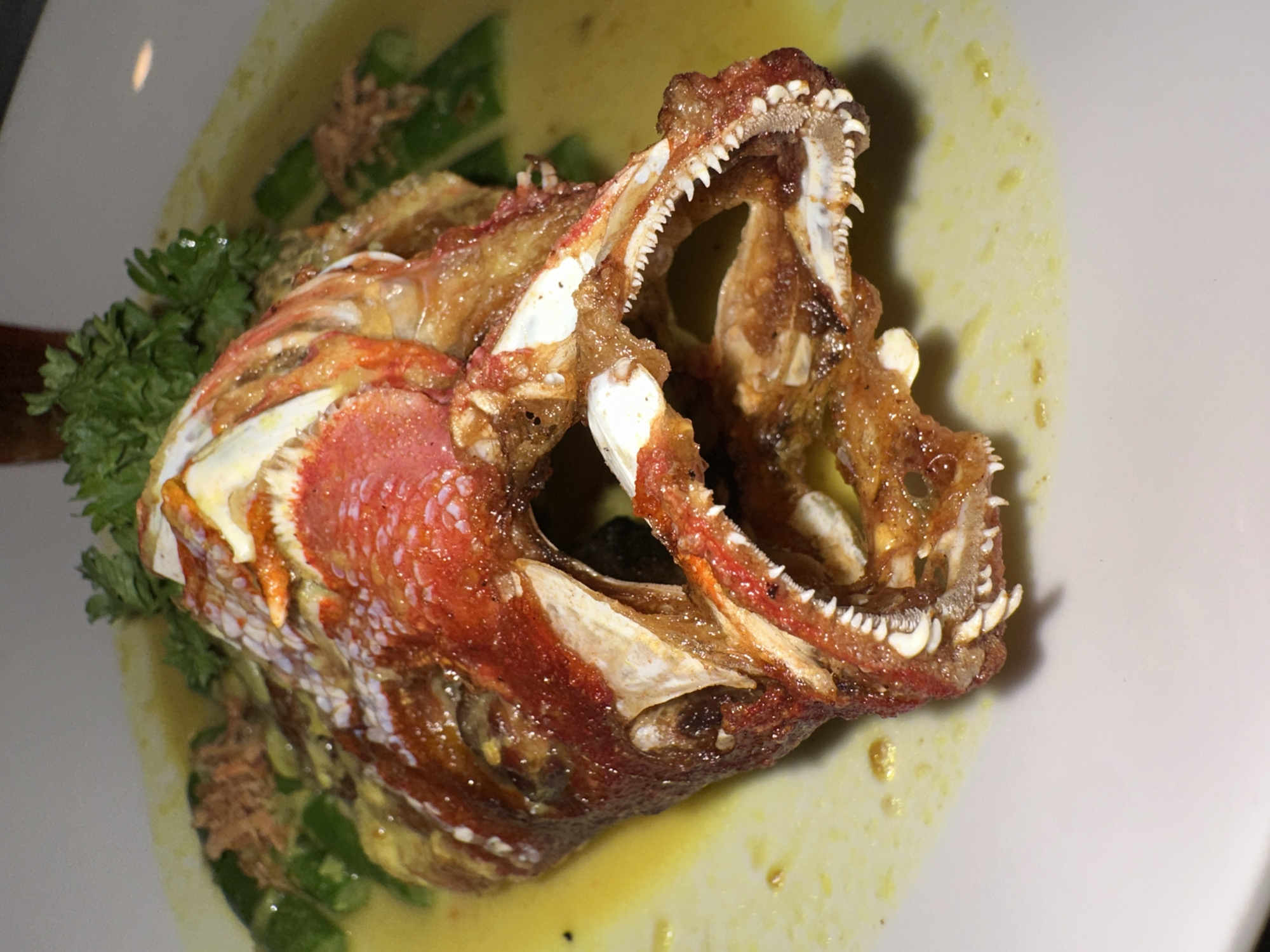 Restaurant diners document fish head meal in Nusa Penida