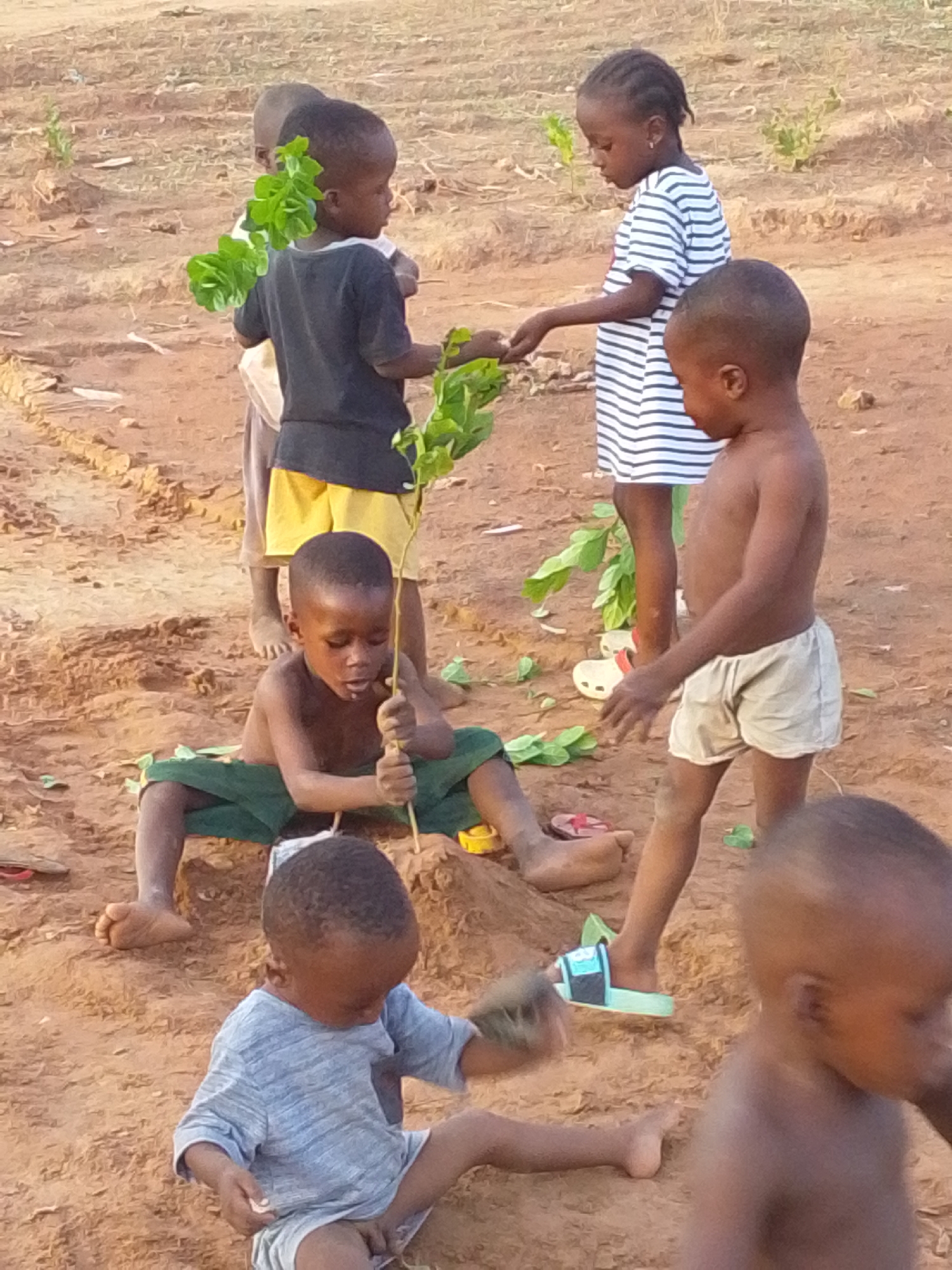 Children gather in sandy outdoor area in Tamale, Ghana
