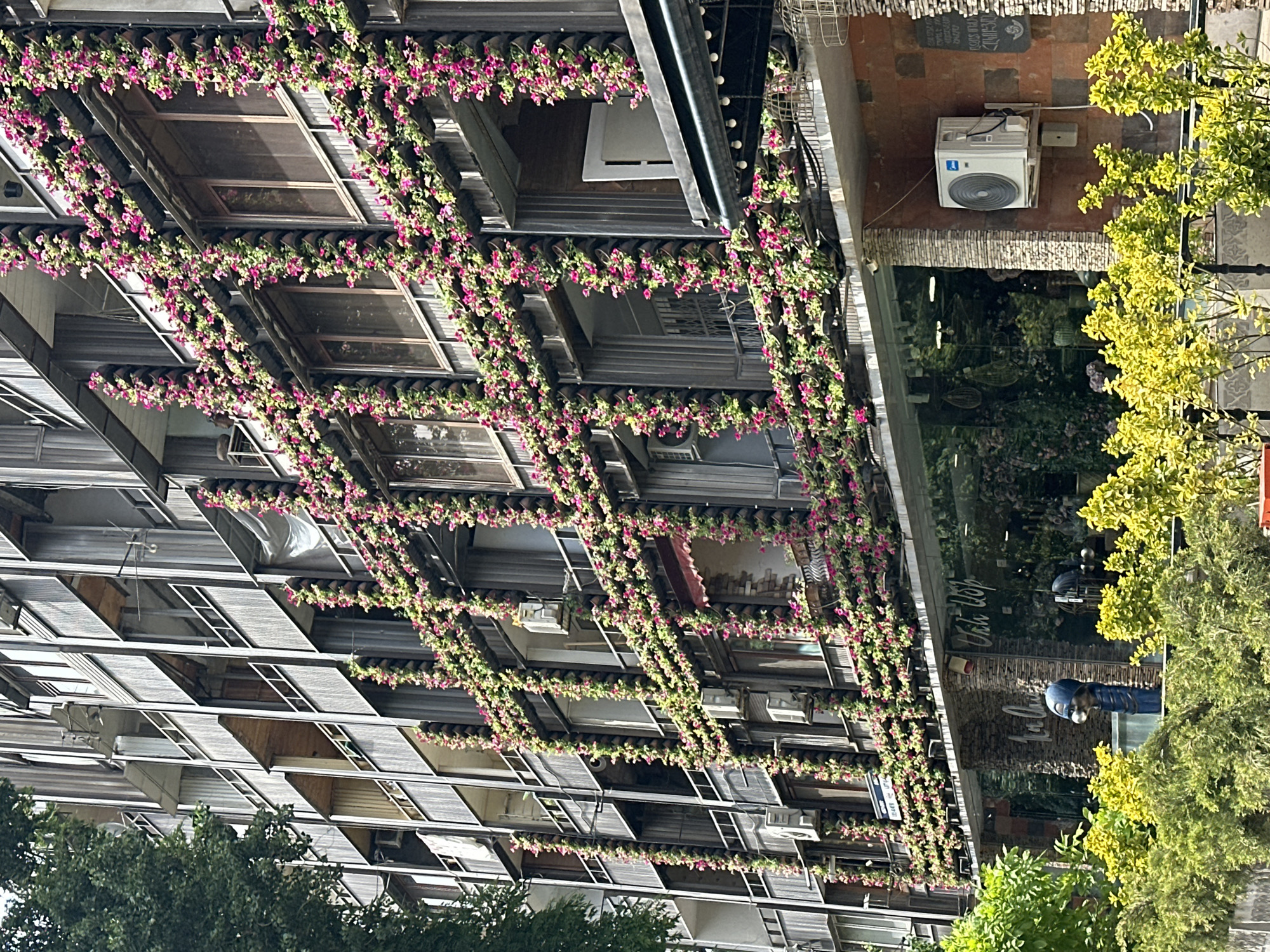 Everyday street scenes captured in flower-decorated Yerevan neighborhood