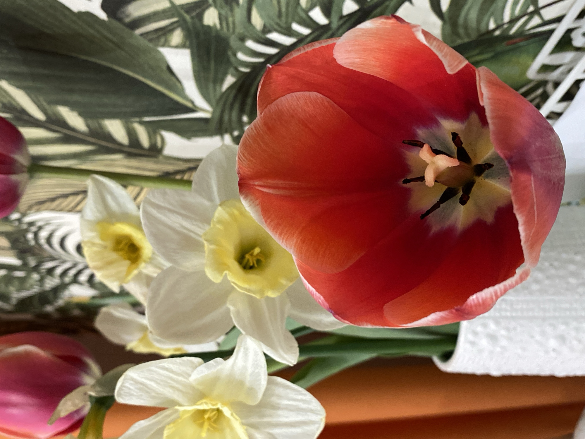 Spring flowers and window views documented in Votkinsk apartment