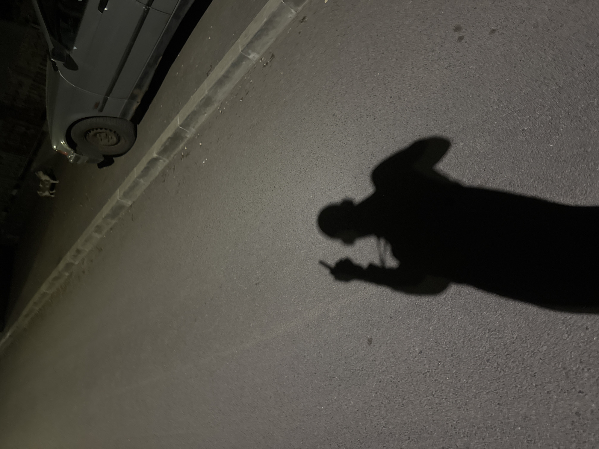 Routine nighttime street life documented across Sofia residential district