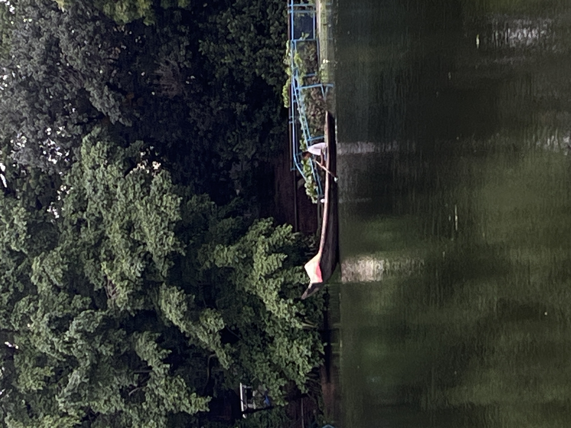 Morning lakeside life captured in Dhaka: vendors, boats, quiet moments