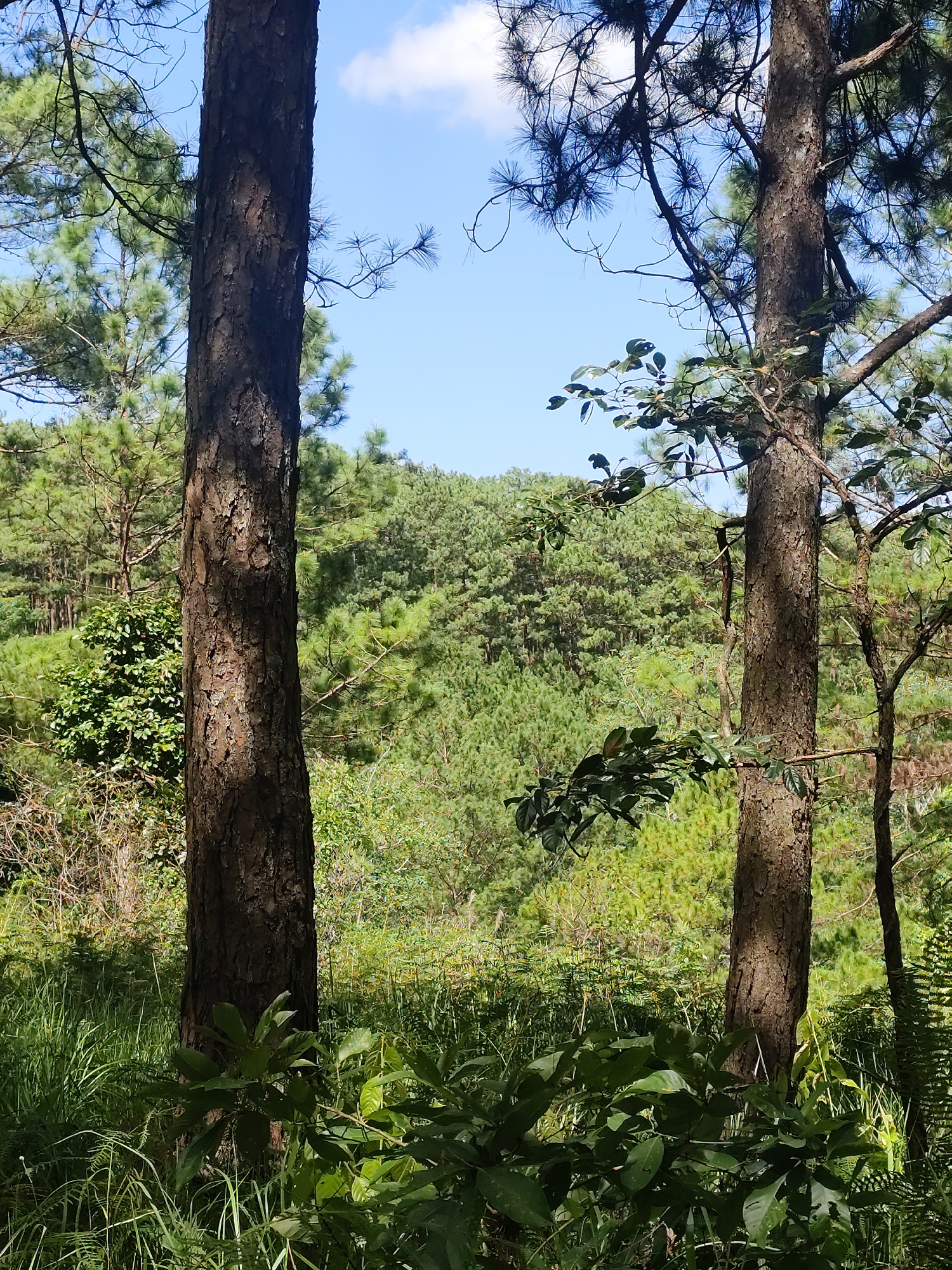 Da Lat, Vietnam