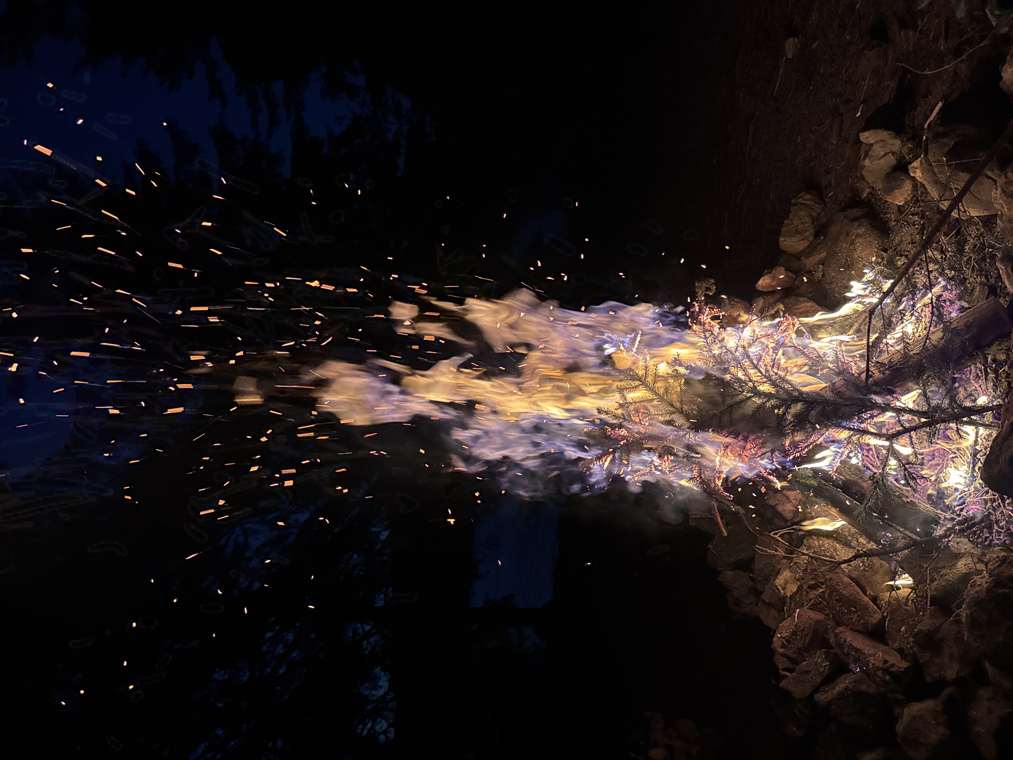 Woodland cookout in Sarnitsa: firewood, lakeside food spread, campfire