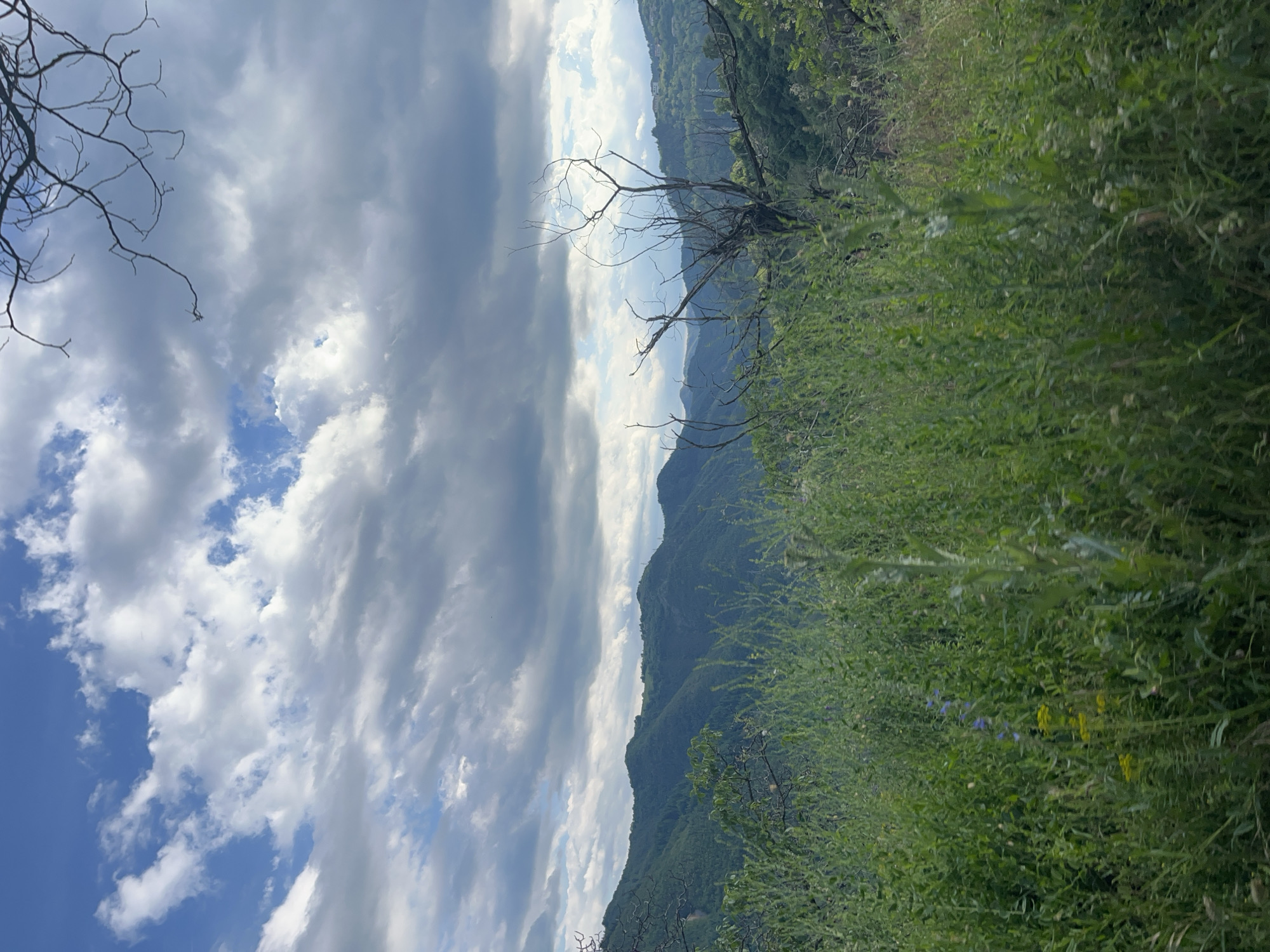 Car journey through Bulgarian mountains documented in 14 memories