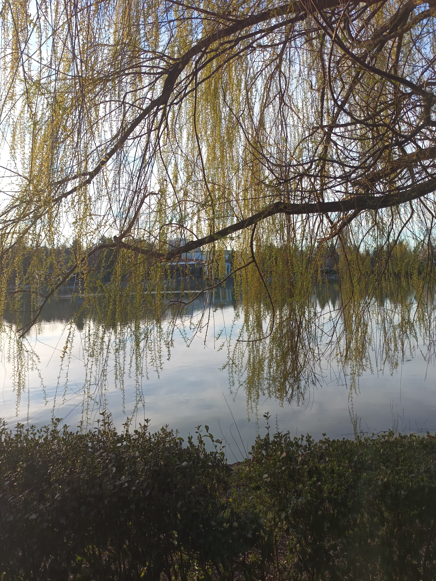 Spring afternoon captured at Targovishte park and lake