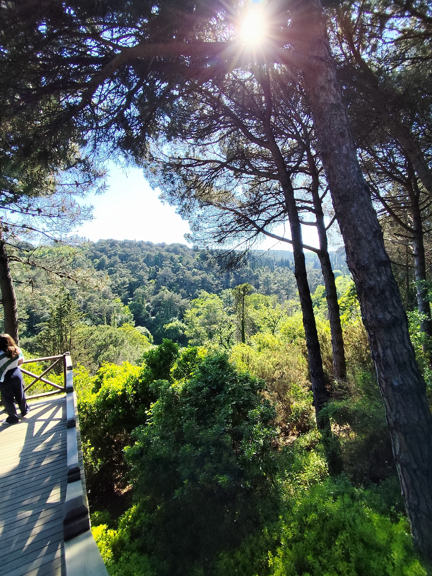 Woman visits forest observation deck in Sarıyer, Turkey