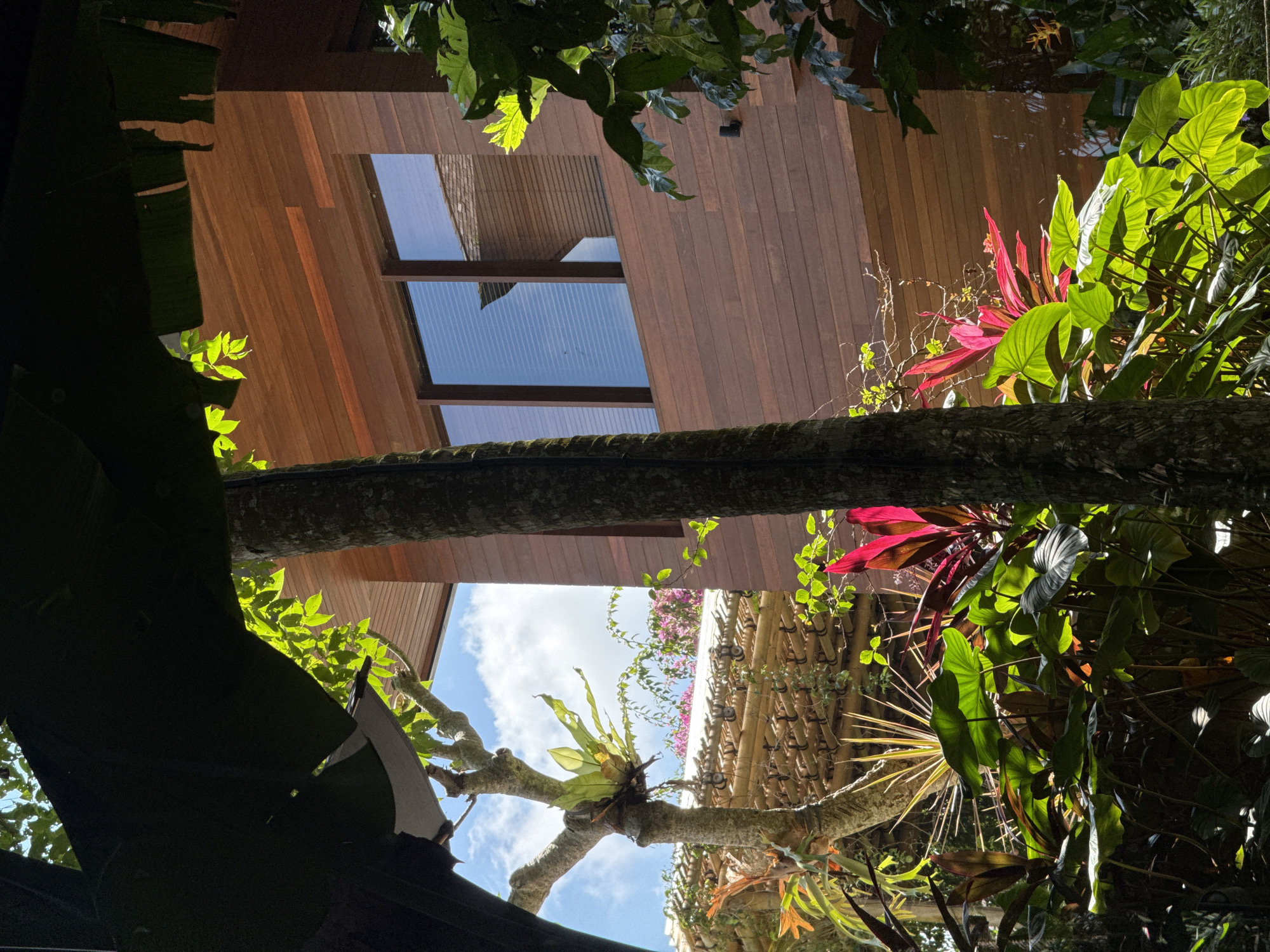Morning yard work observed in Ubud garden area