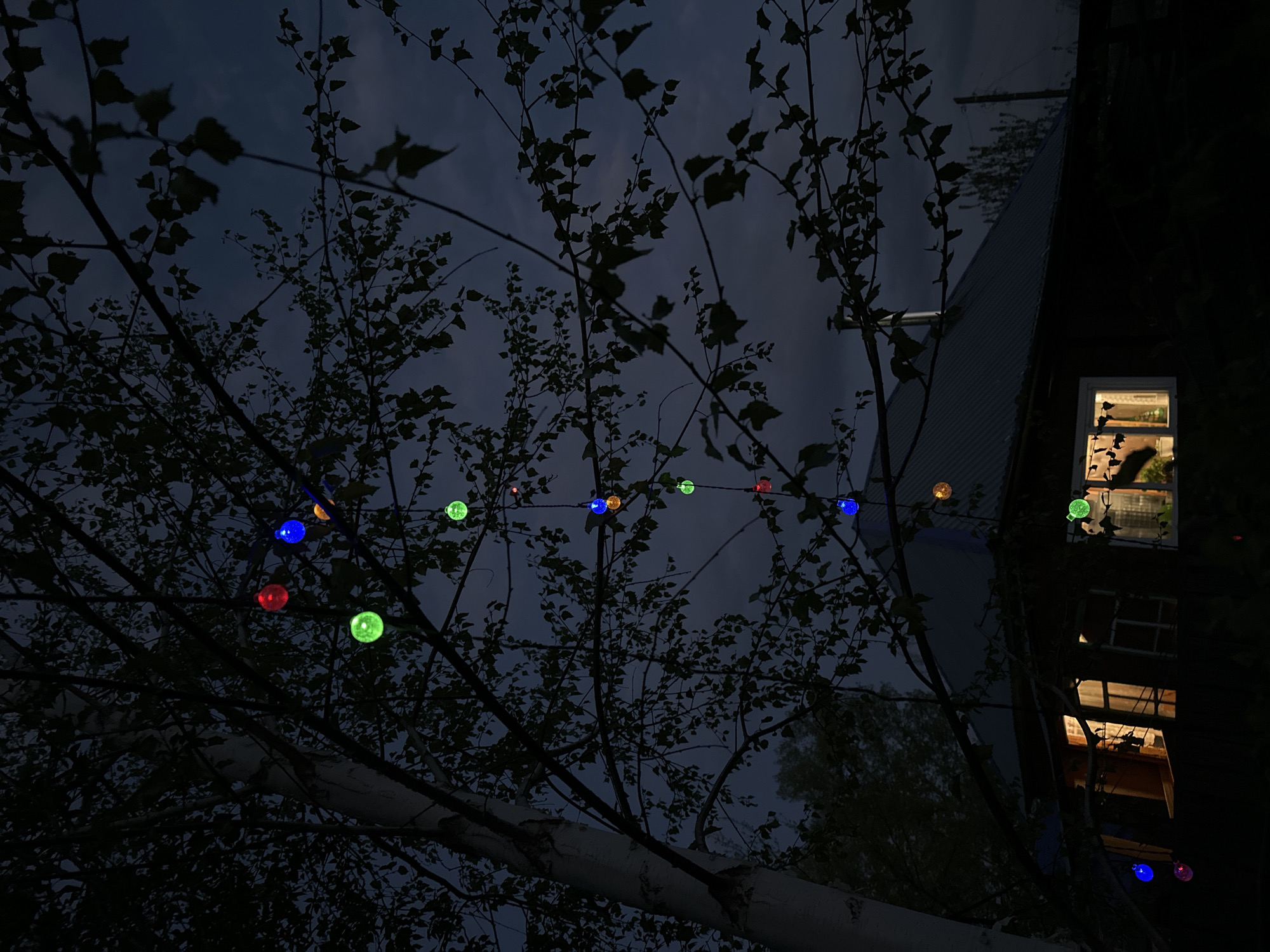 Spring blooms and evening lights captured in Biysk, Russia
