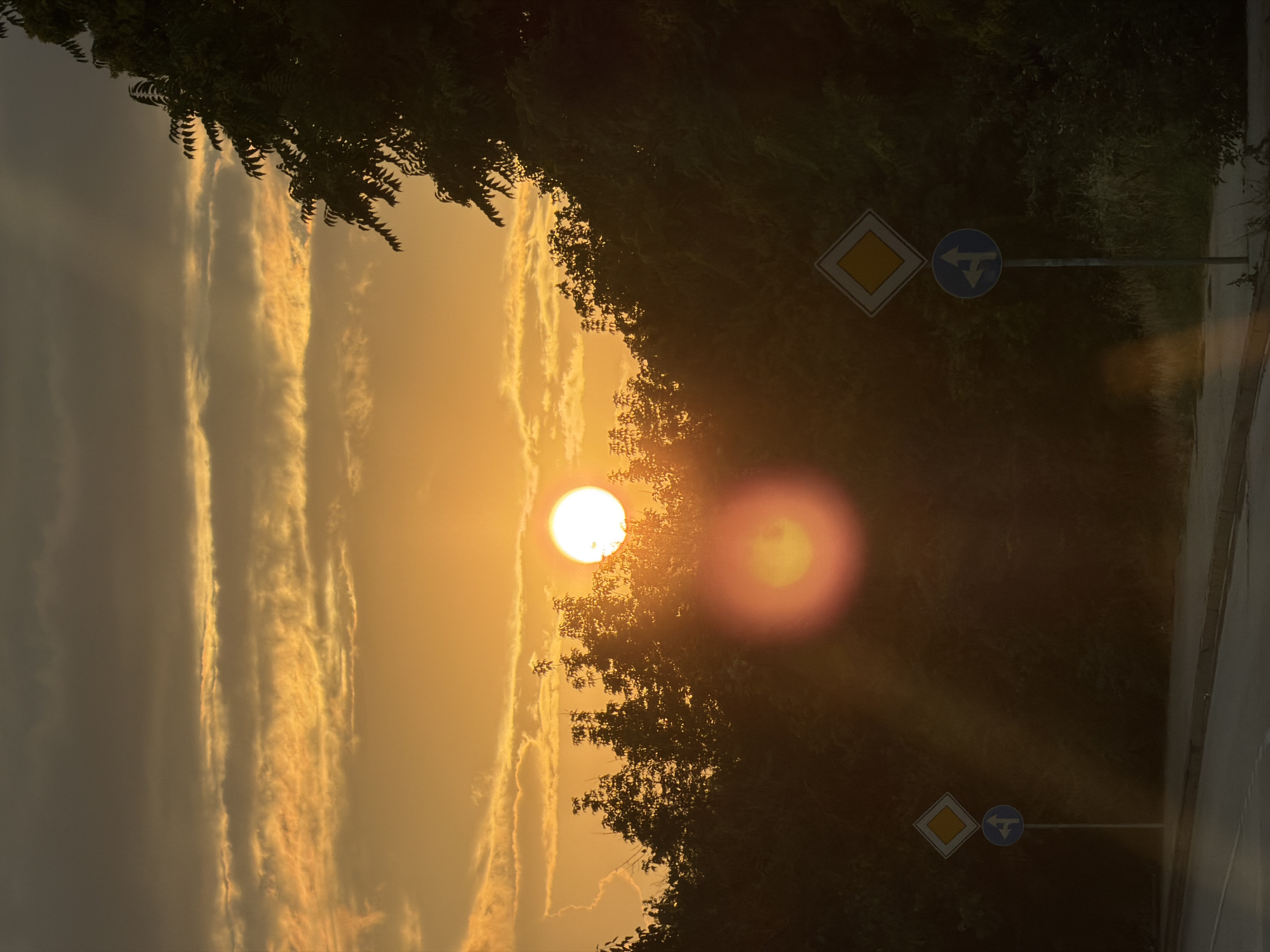 Sunset over a tree-lined road in Lovech, Bulgaria