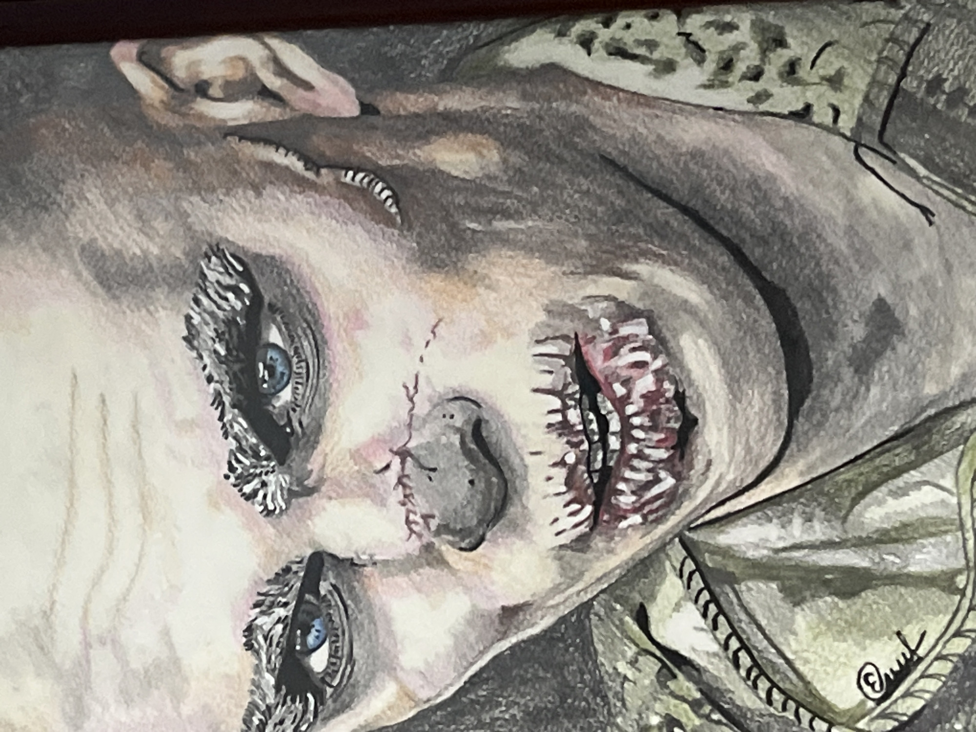 Art collection featuring pop culture character portraits documented in Podolsk