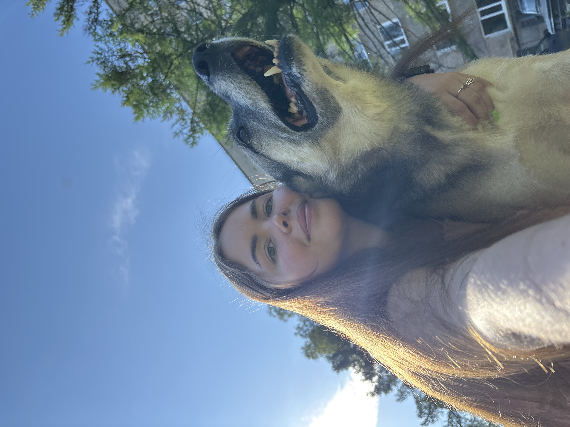 Woman documents early morning pet photography session in Izhevsk