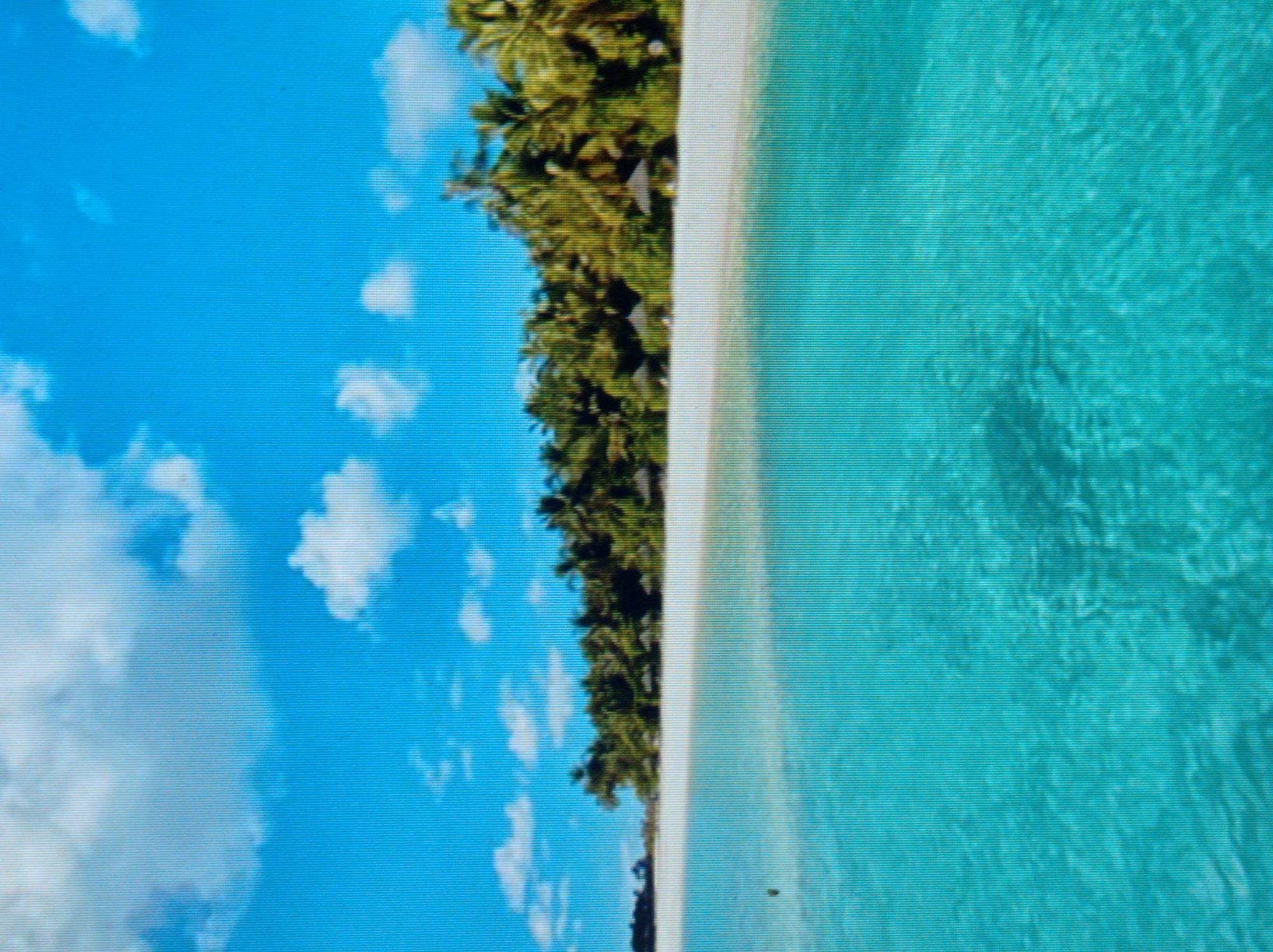 Tropical beach and island photos misfiled under Mukachevo, Ukraine