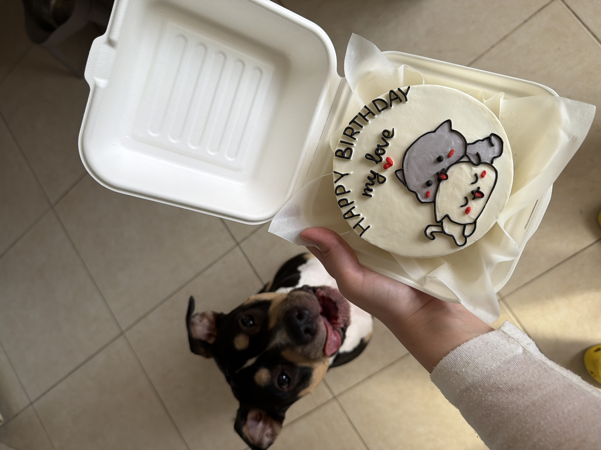 Person holds decorated cake with cartoon cats in Tel Aviv