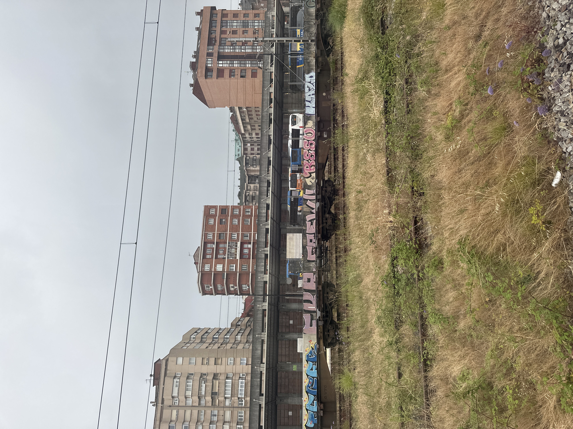 Wildflowers reclaim abandoned railway yard in Avilés, Spain