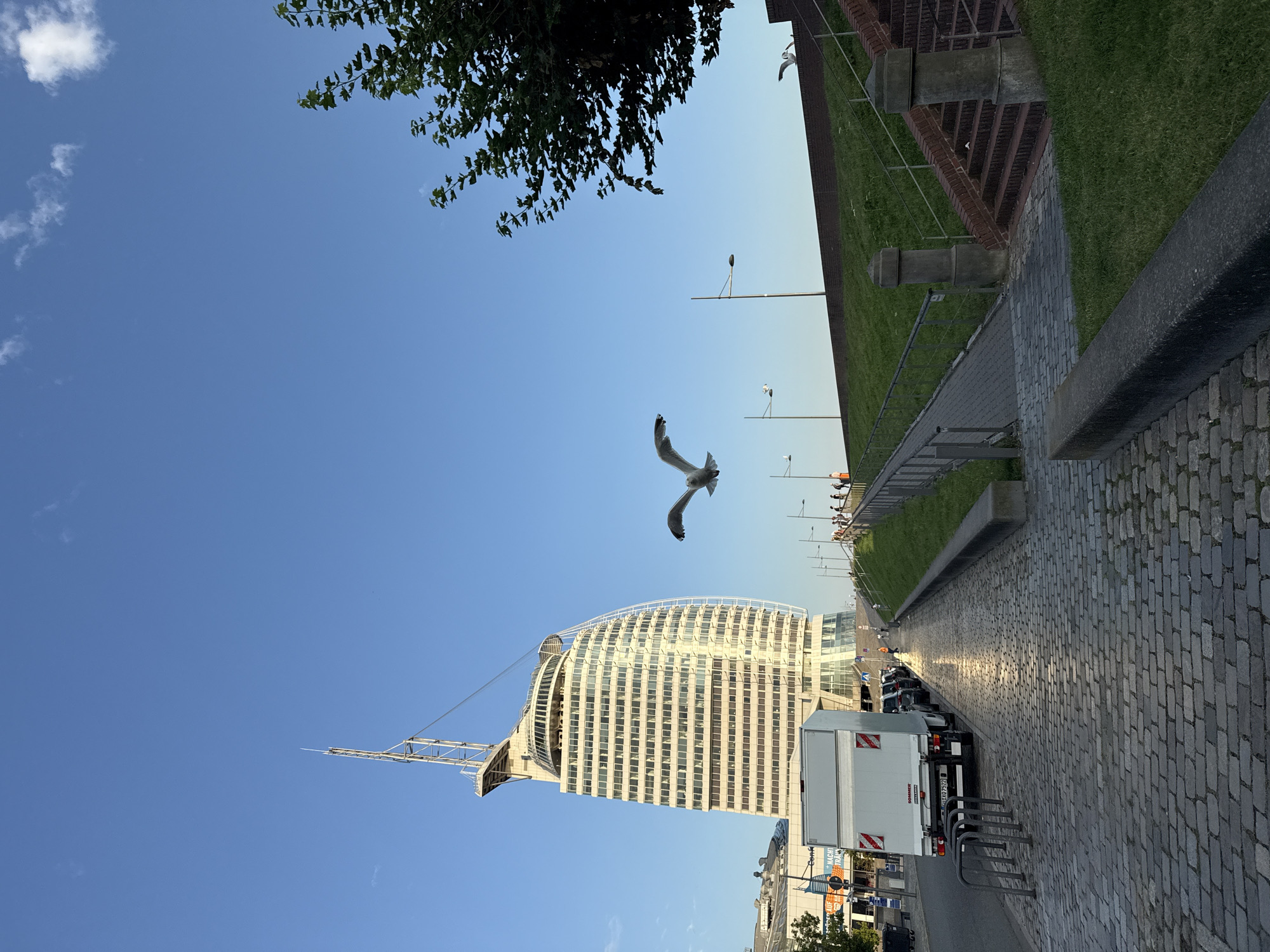 Golden hour at Bremerhaven's waterfront with gulls and the Oceanis Tower