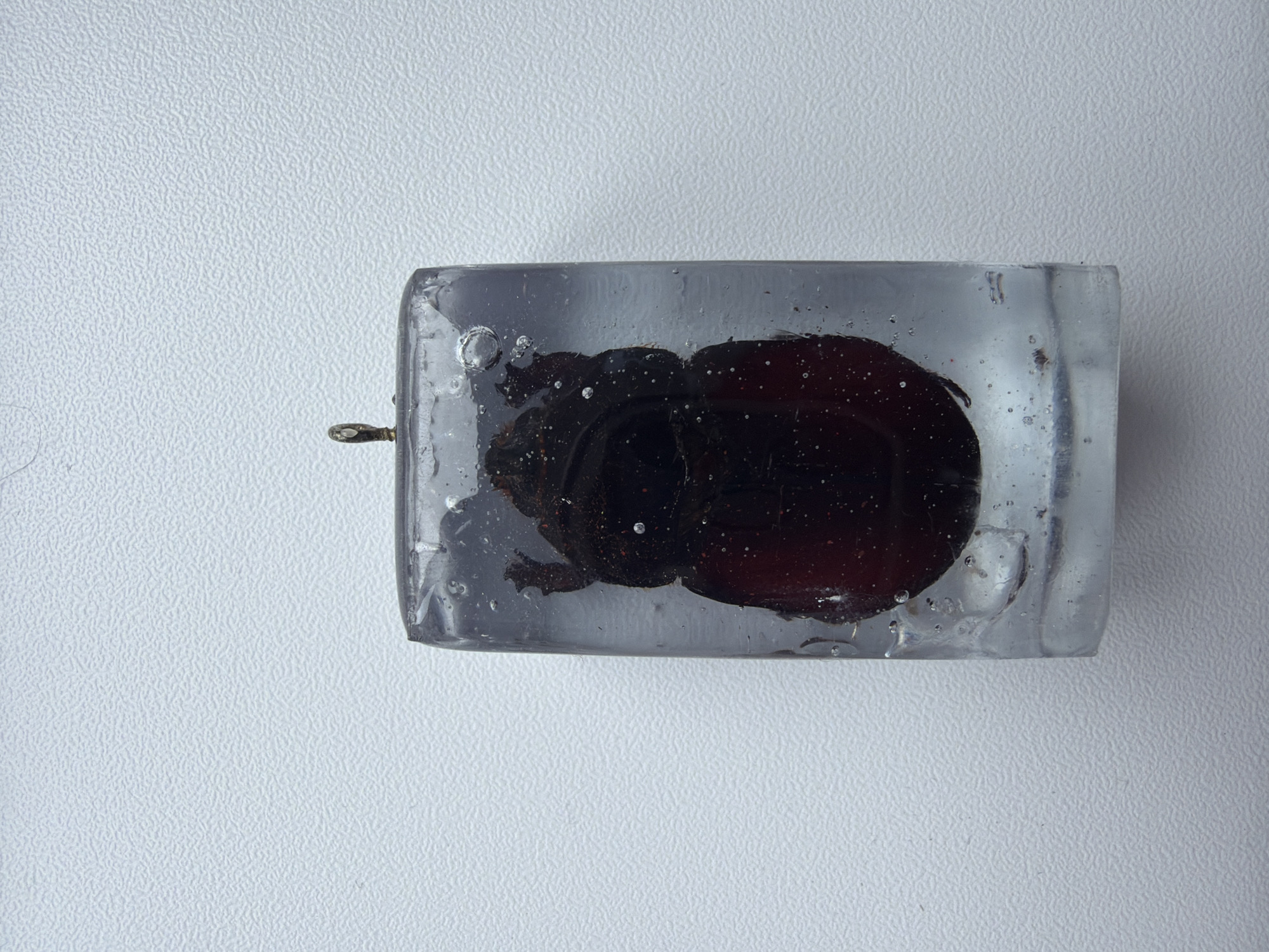 Beetle preserved in clear resin pendant documented in Izhevsk