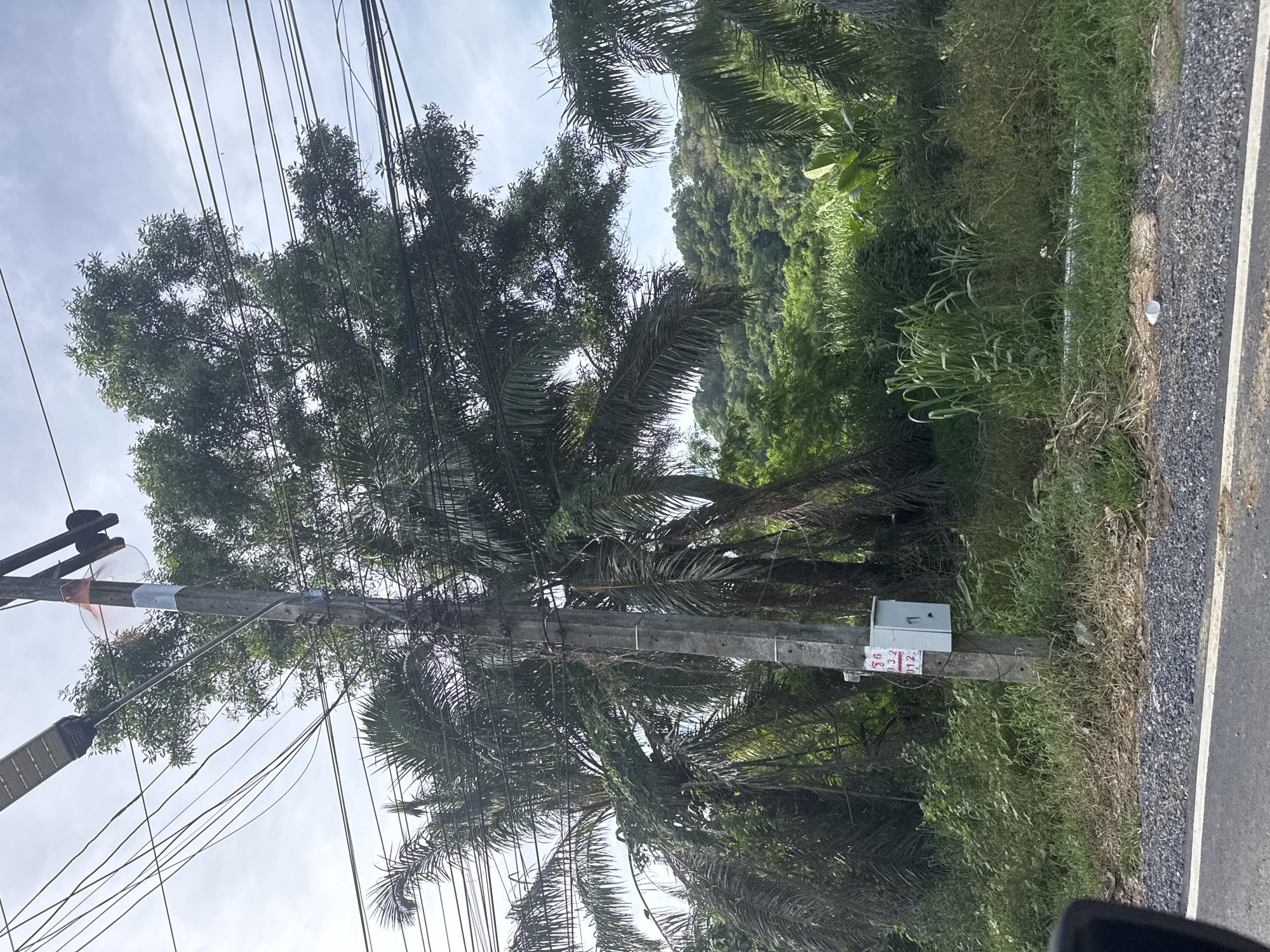 Street scenes documented in Rawai, Thailand coastal area