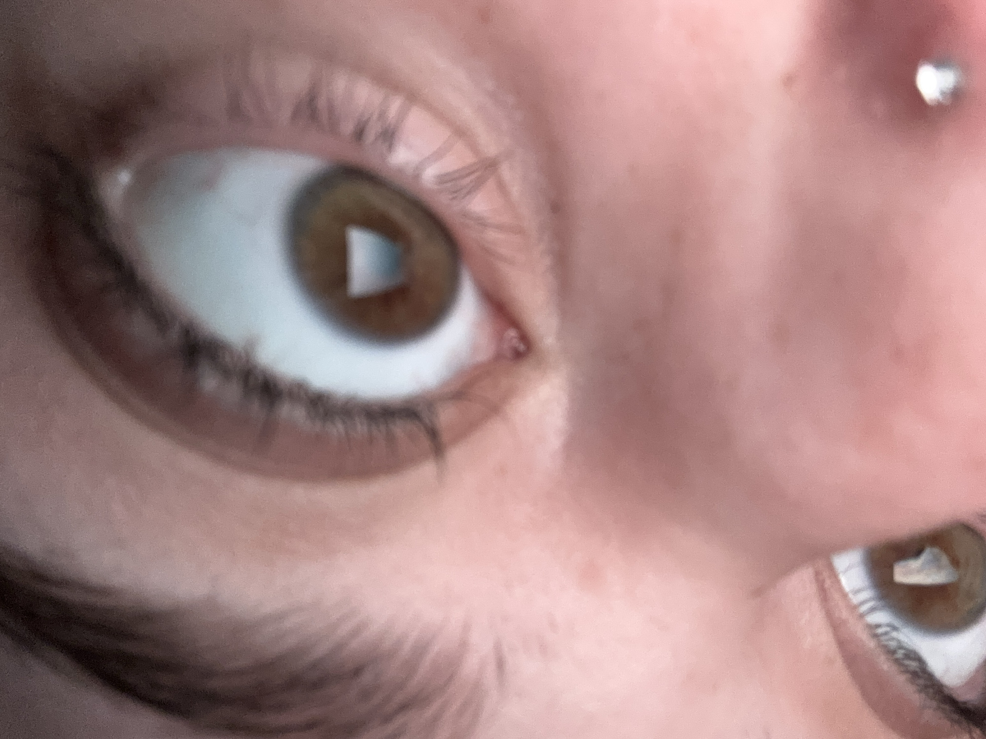 Close-up portrait photography captured in Troyan, Bulgaria