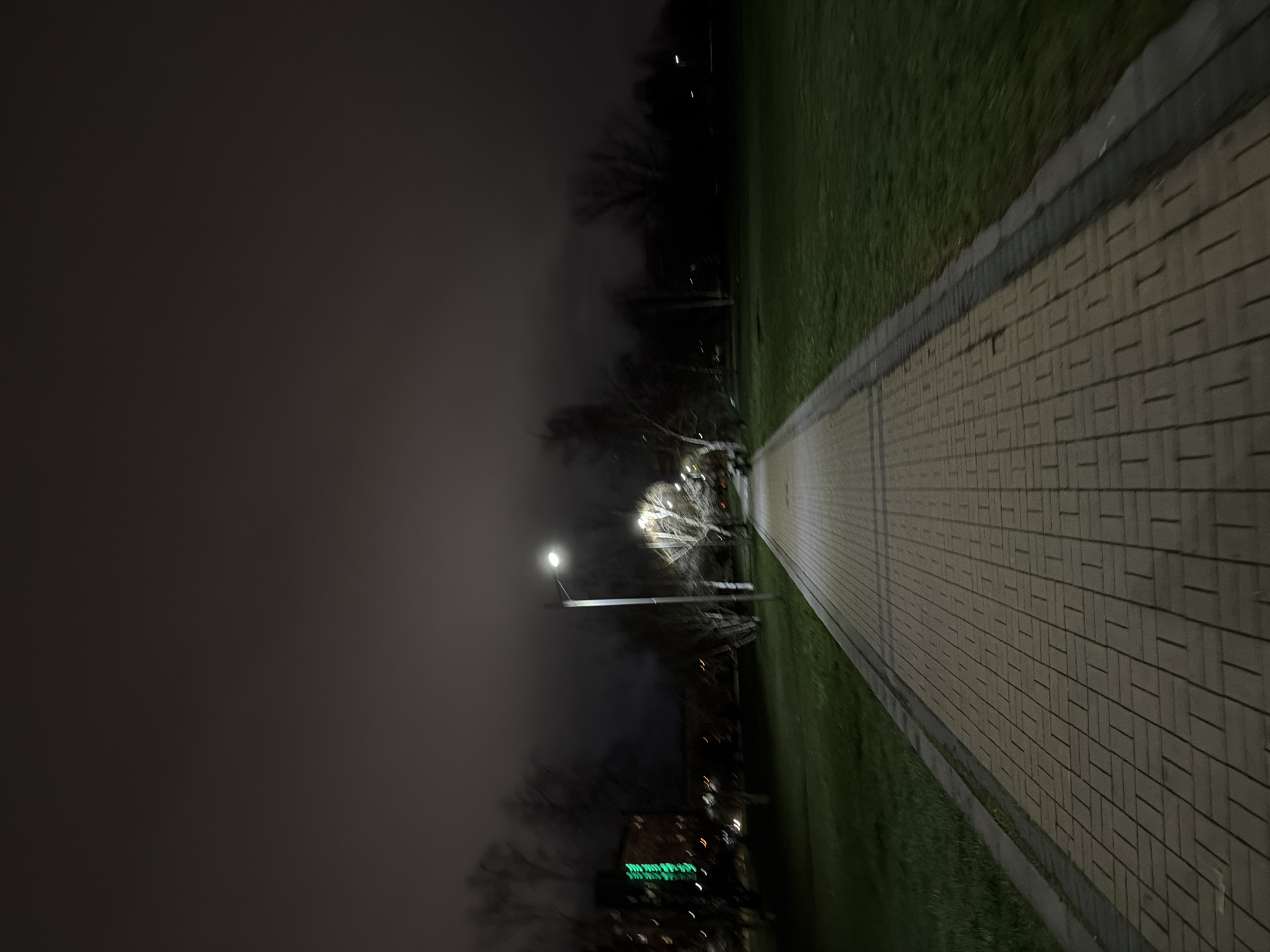 Nighttime street scene captured along illuminated pathway in Sofia