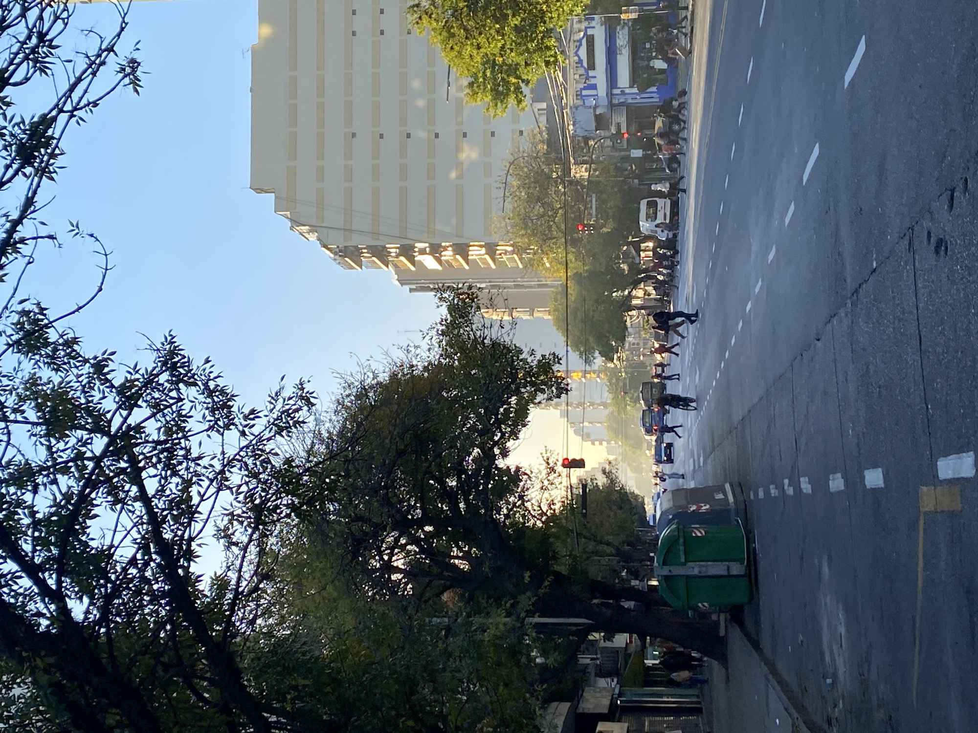 Street scene captured in Buenos Aires shows building, tree