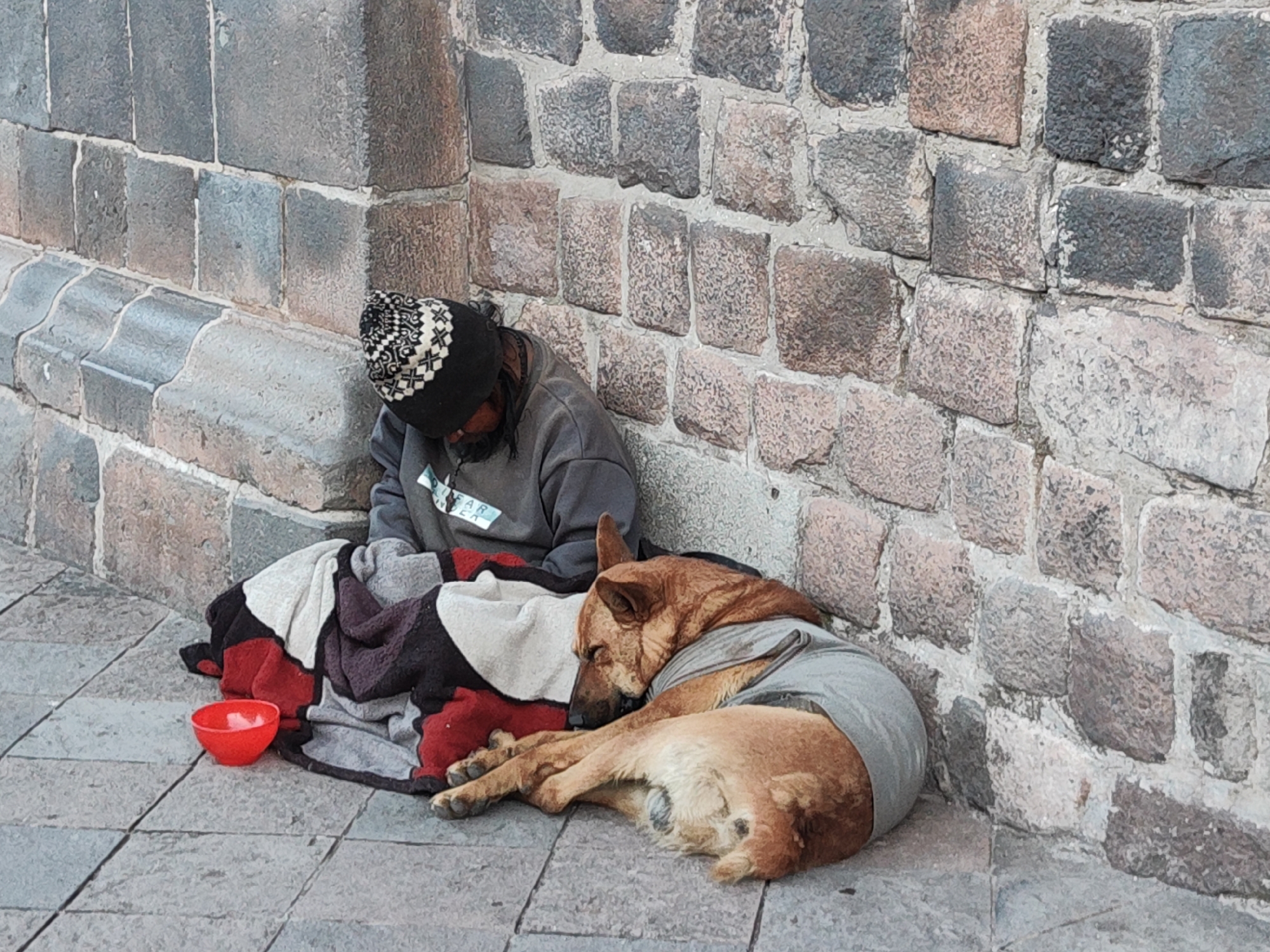 Man and dog rest against stone wall in Cuzco
