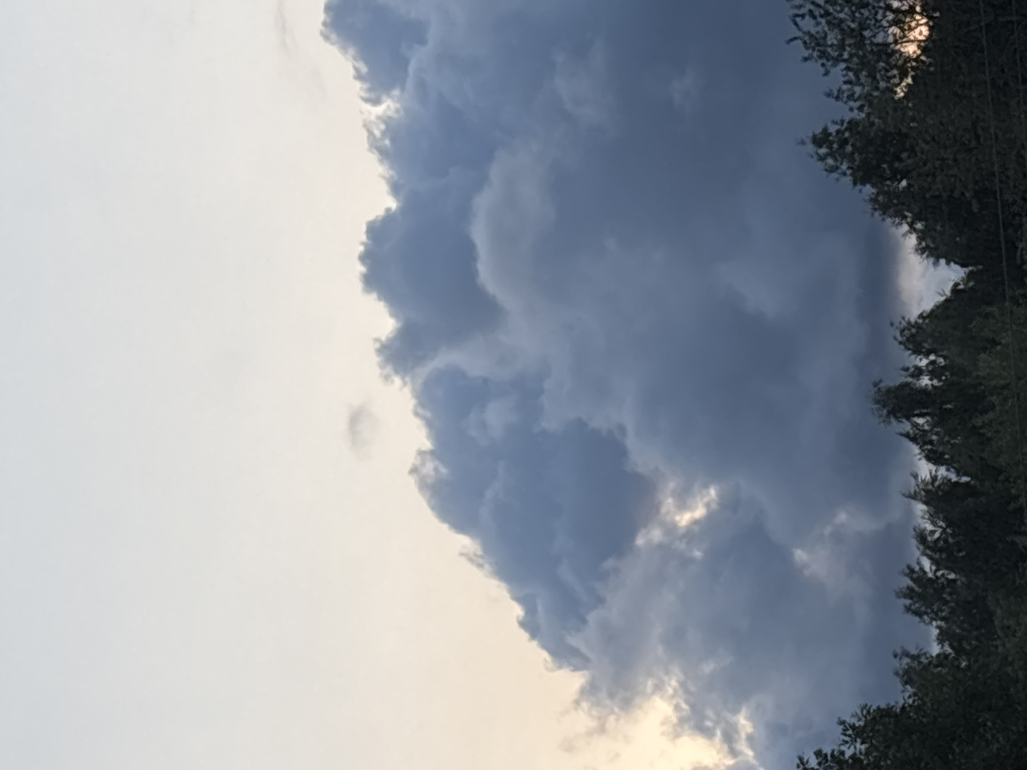 Storm clouds gather over a Russian forest at dusk