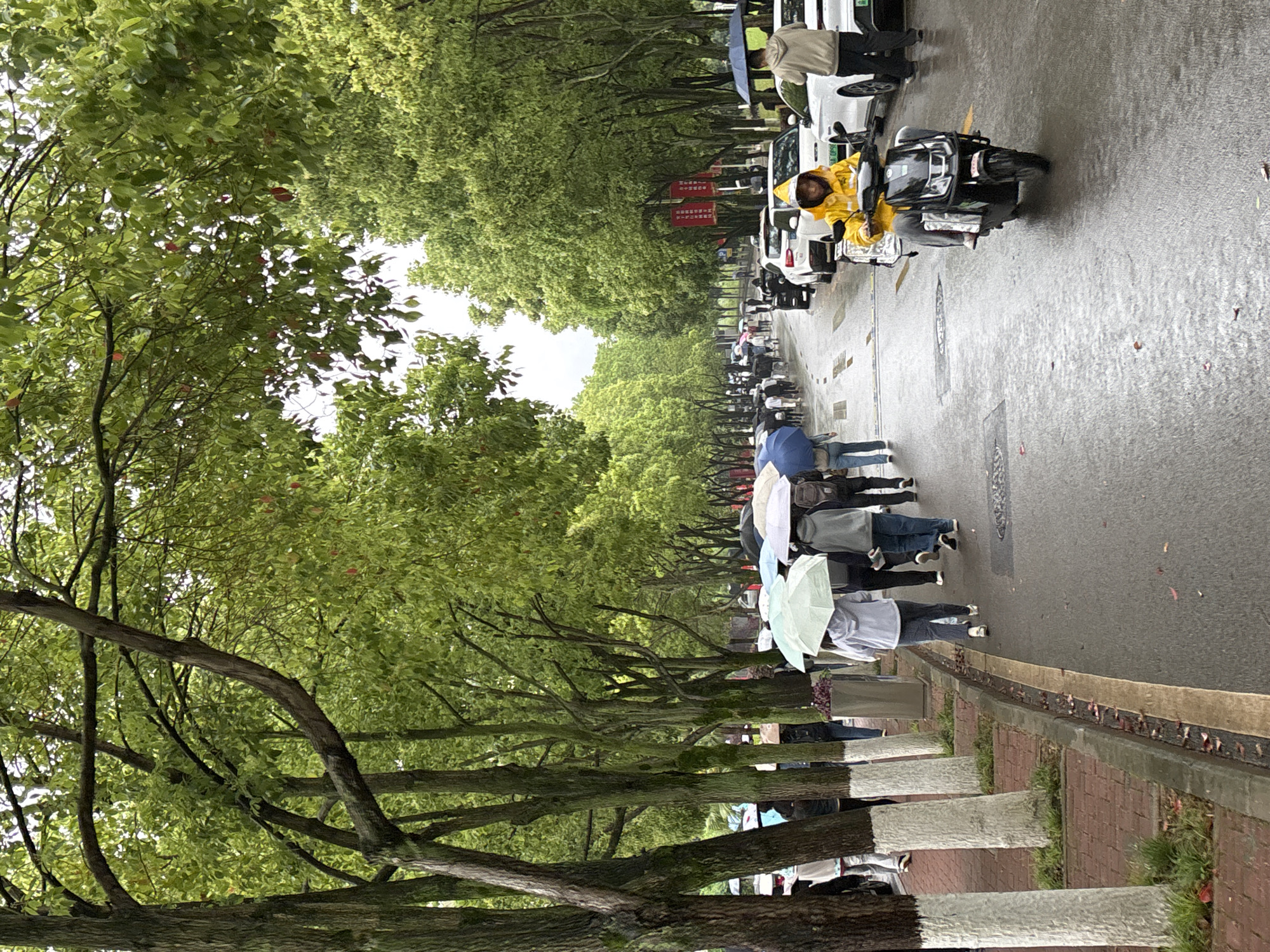 Morning rain brings umbrellas to Jiangjin streets